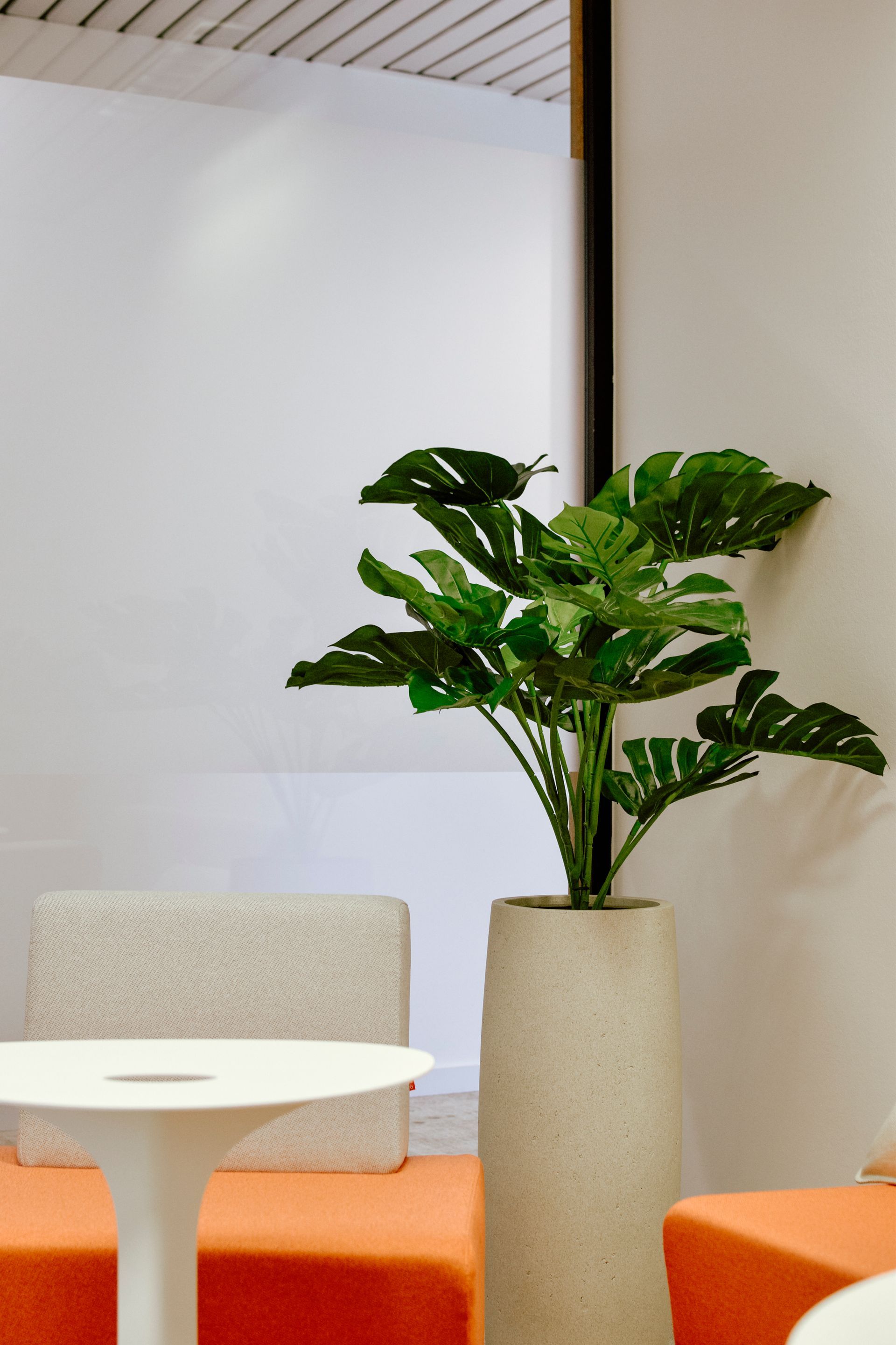 Salon moderne avec chaises orange, table blanche et grande plante en pot contre un mur beige.