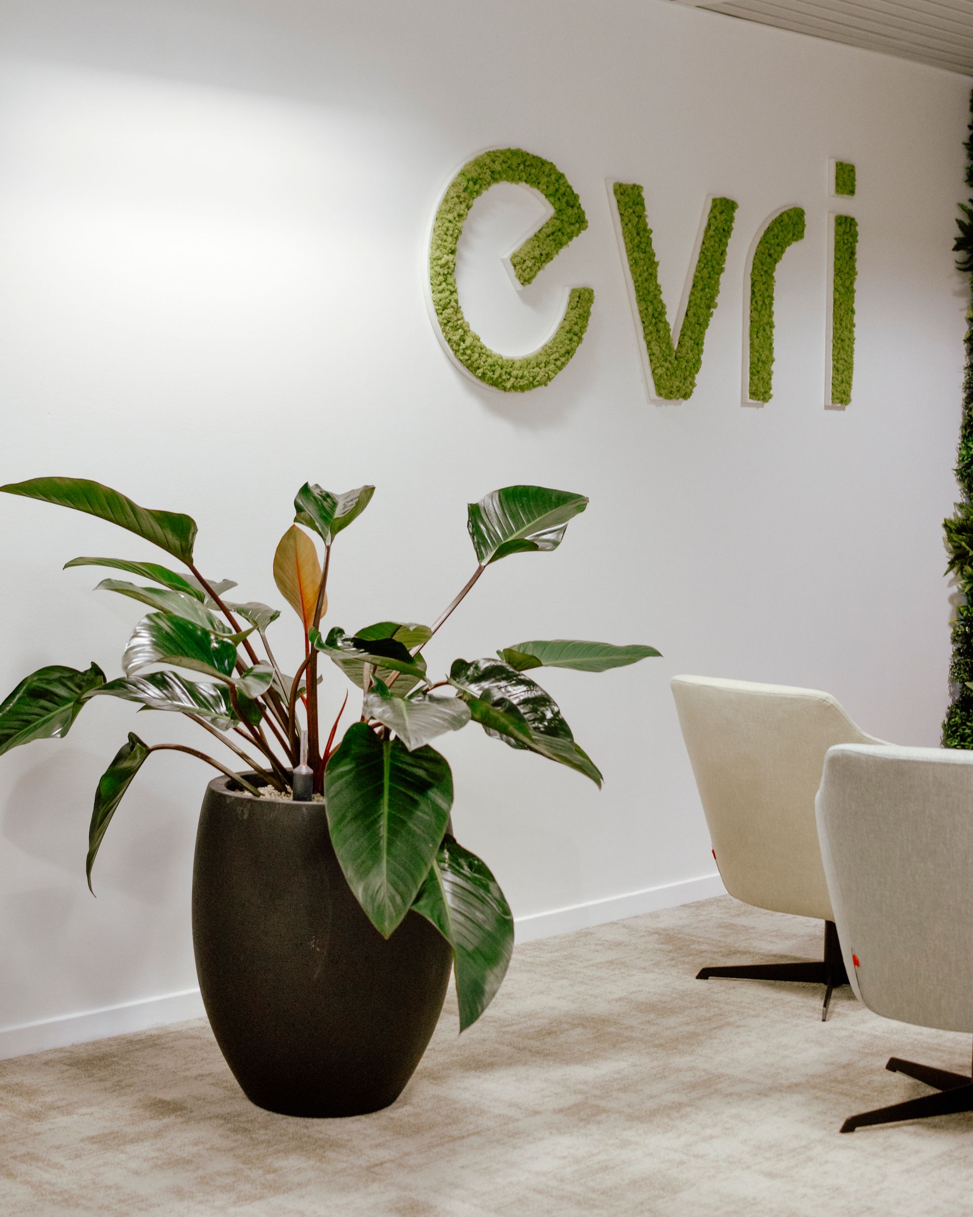 Office lobby with potted plant, white chairs, and green “Evri” wall logo