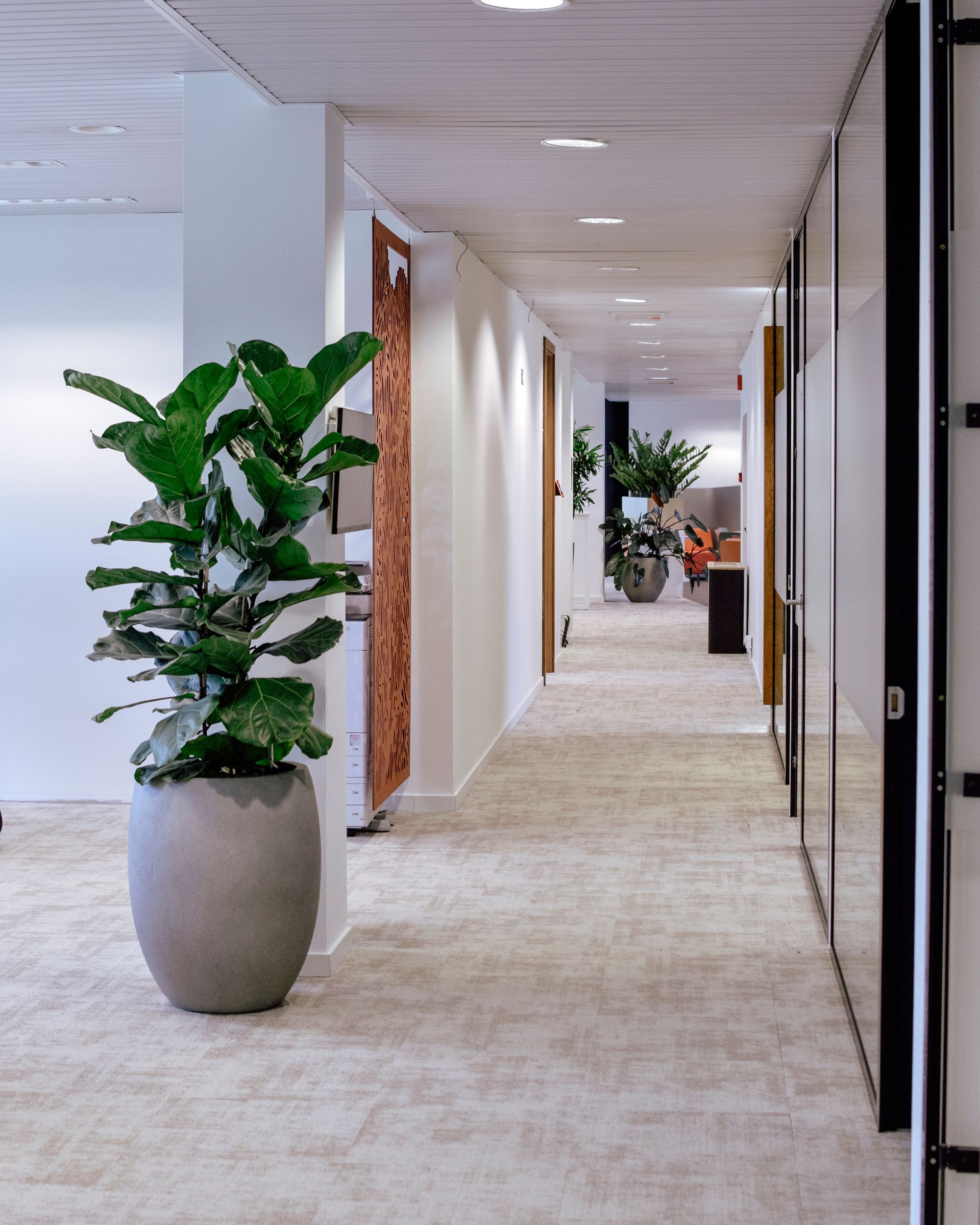 Long office hallway with beige carpet, white walls, potted plants, and closed doors