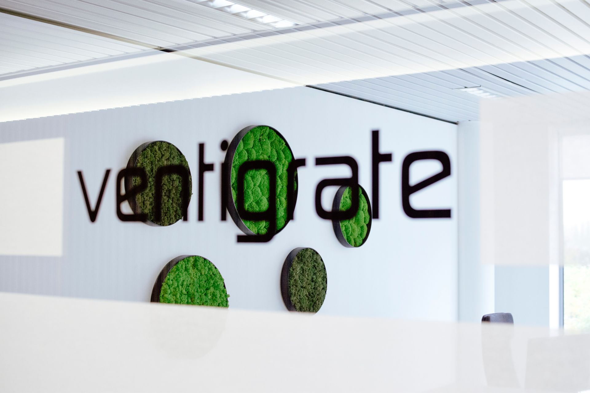 Logo Ventrigate sur un mur blanc de bureau avec des accents circulaires verts évoquant de la mousse.