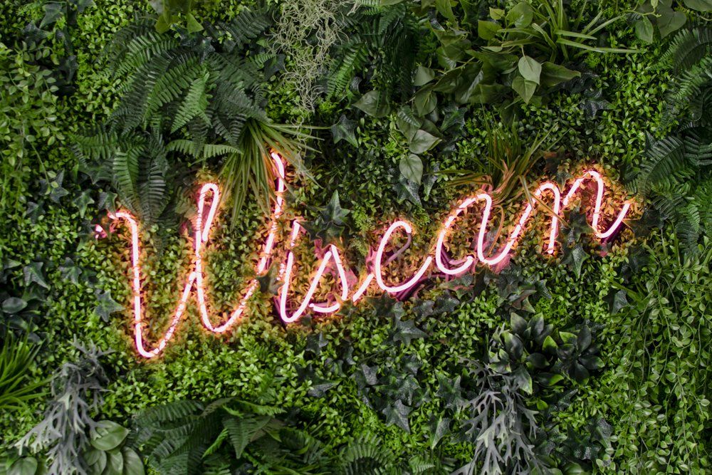 Enseigne lumineuse rose « Wiscan » sur un mur végétal luxuriant