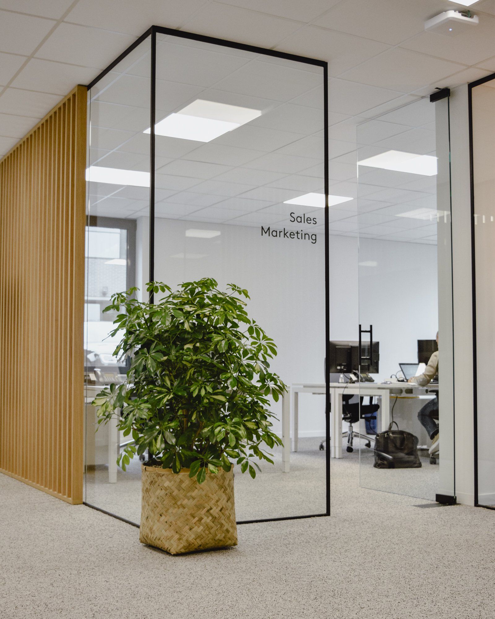 Modern office interior with glass cubicles, desks, and a potted plant in the foreground.