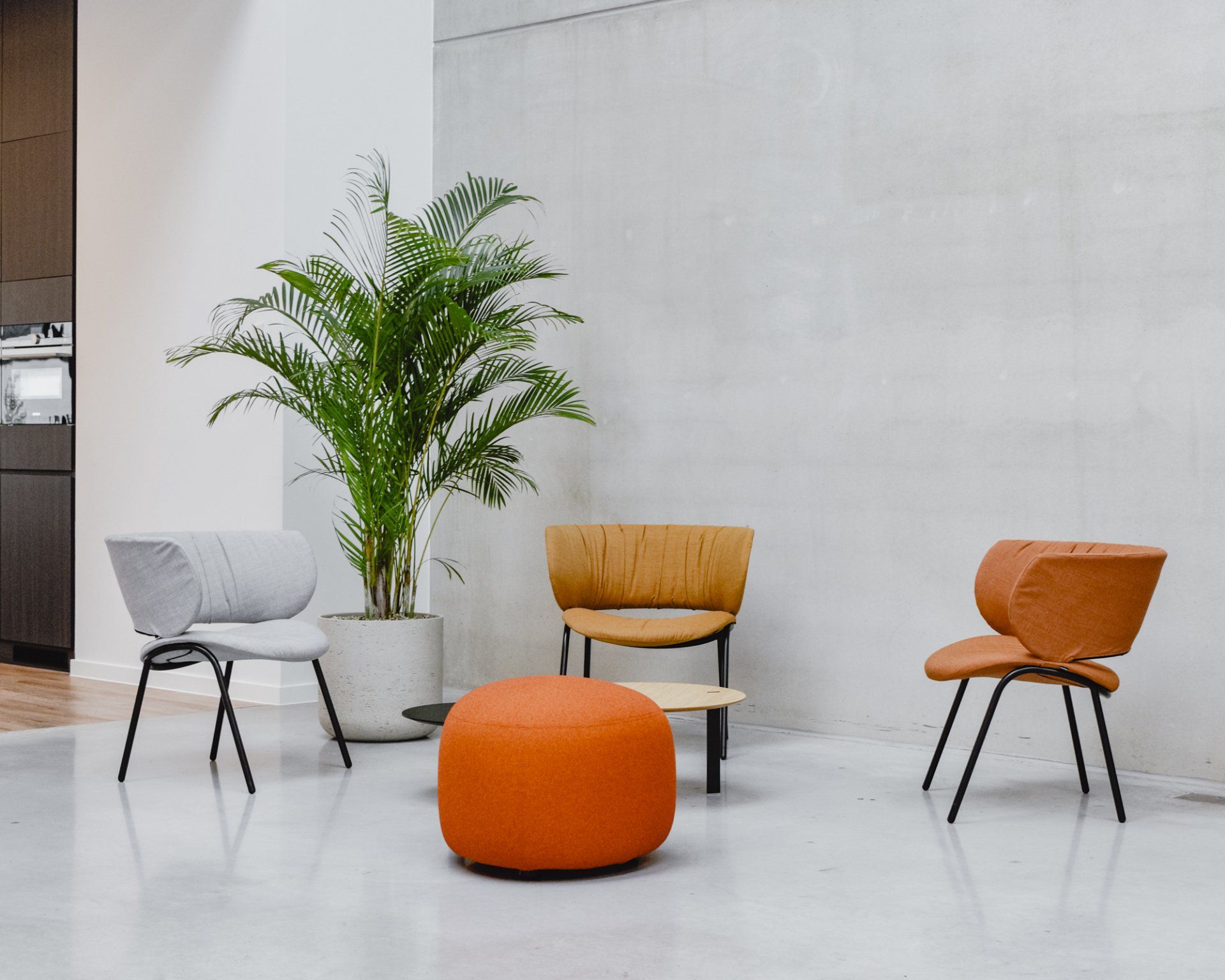 Modern lounge with four chairs, orange ottoman, and potted palm on a white floor.