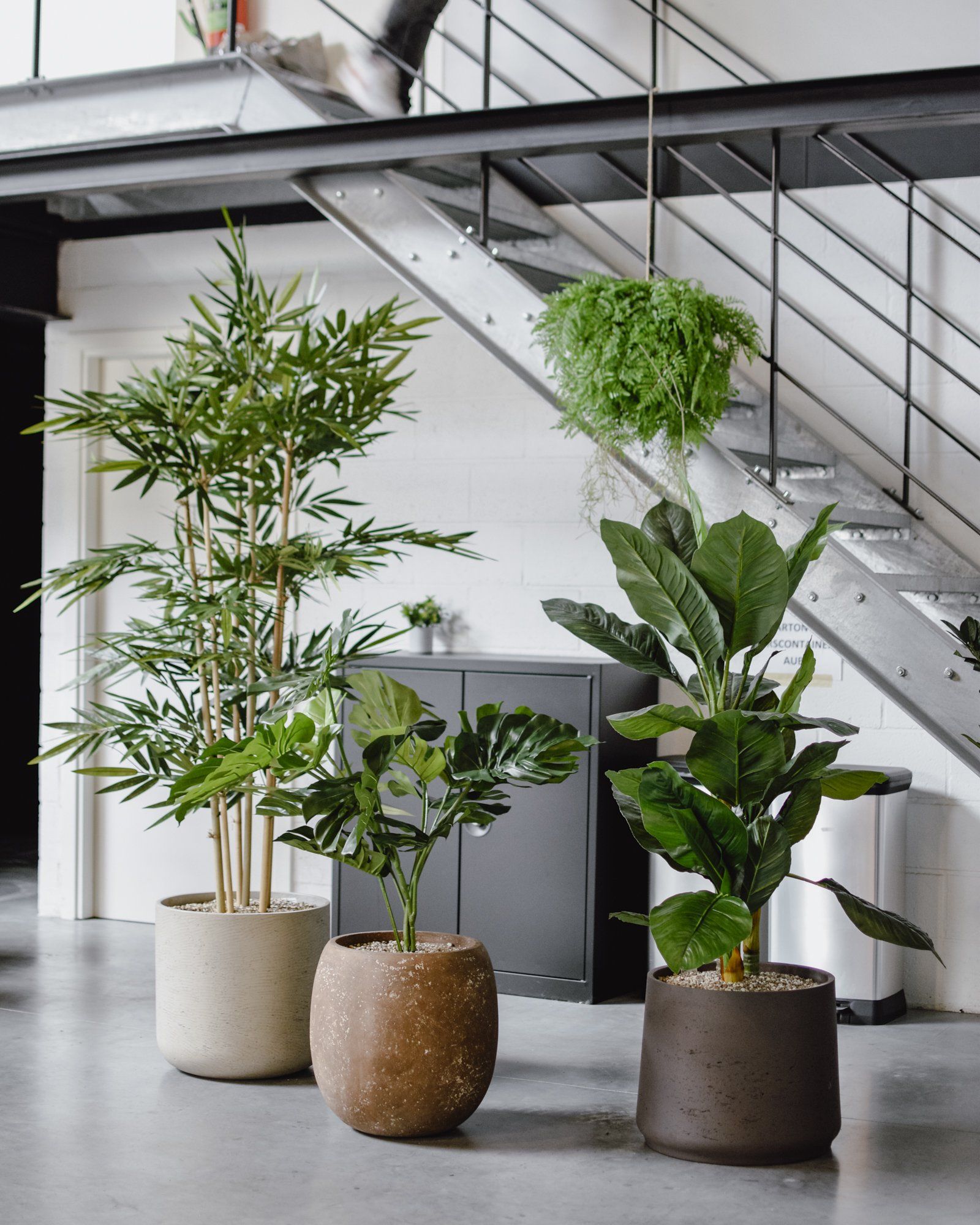 Trois plantes d'intérieur en pot à côté d'un escalier dans un espace intérieur moderne