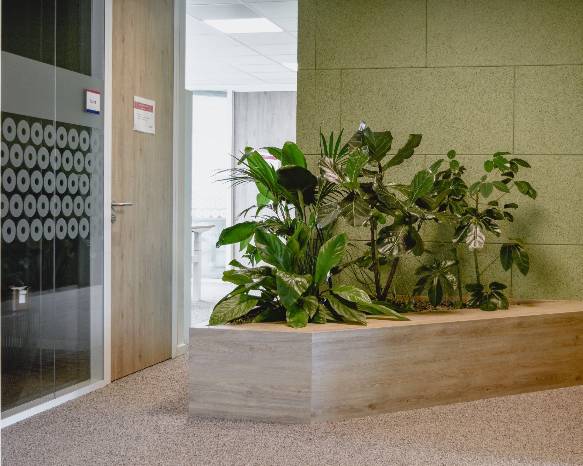 Indoor office lobby with a large planter of green plants beside glass doors