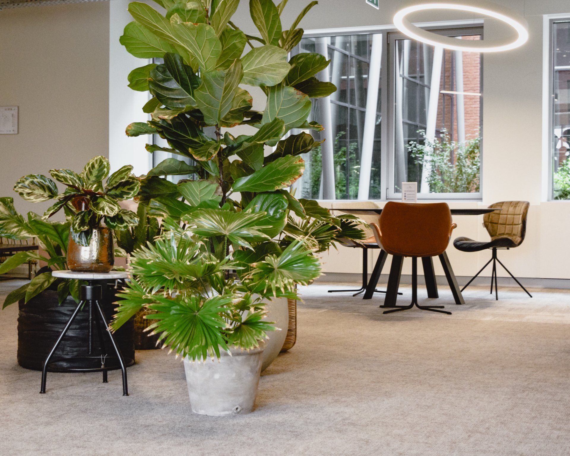 Modern office lounge with large potted plants, round table, chairs, and circular ceiling lights