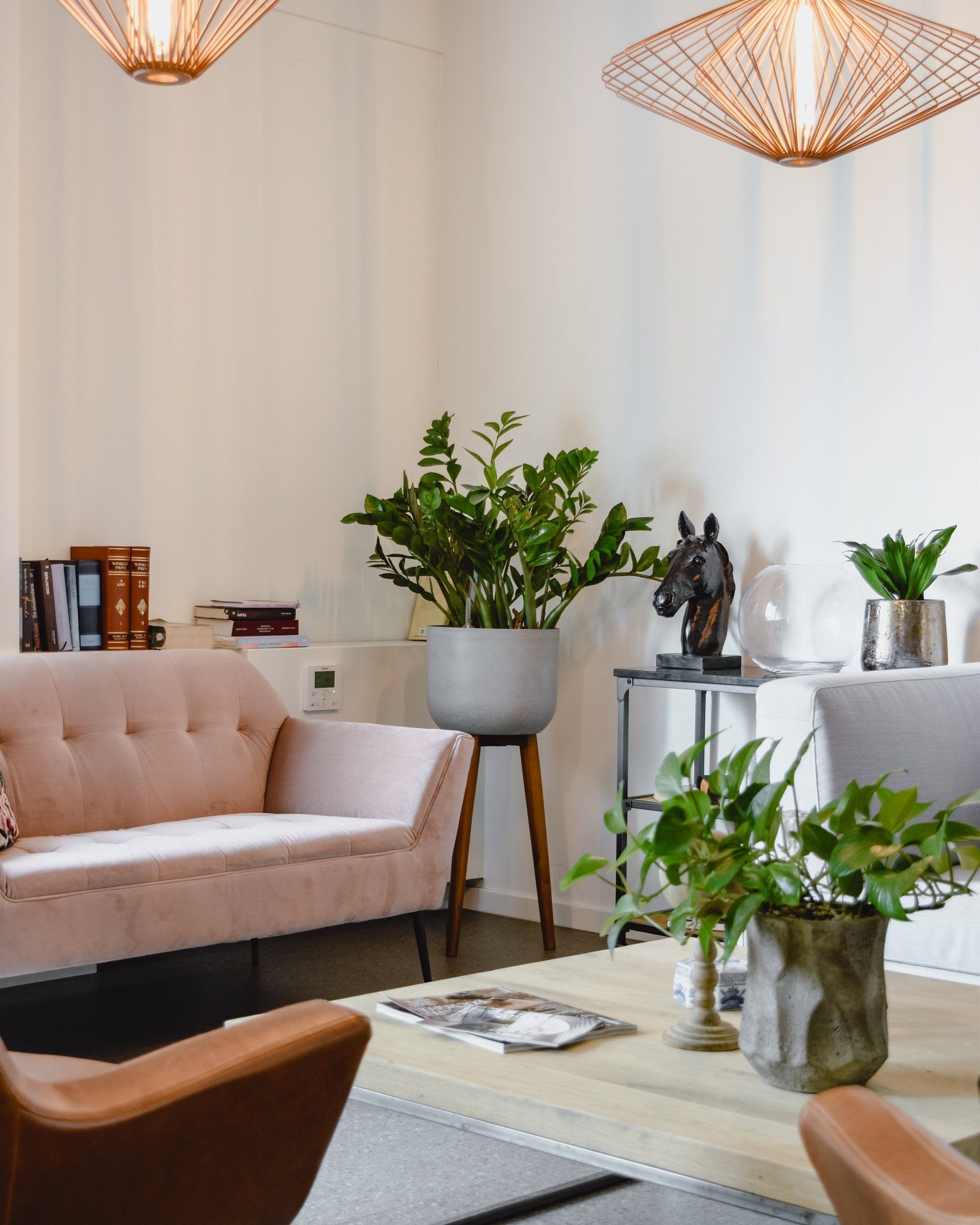 Cozy living room with a pink sofa, plants, woven lamps, and a coffee table with decor.