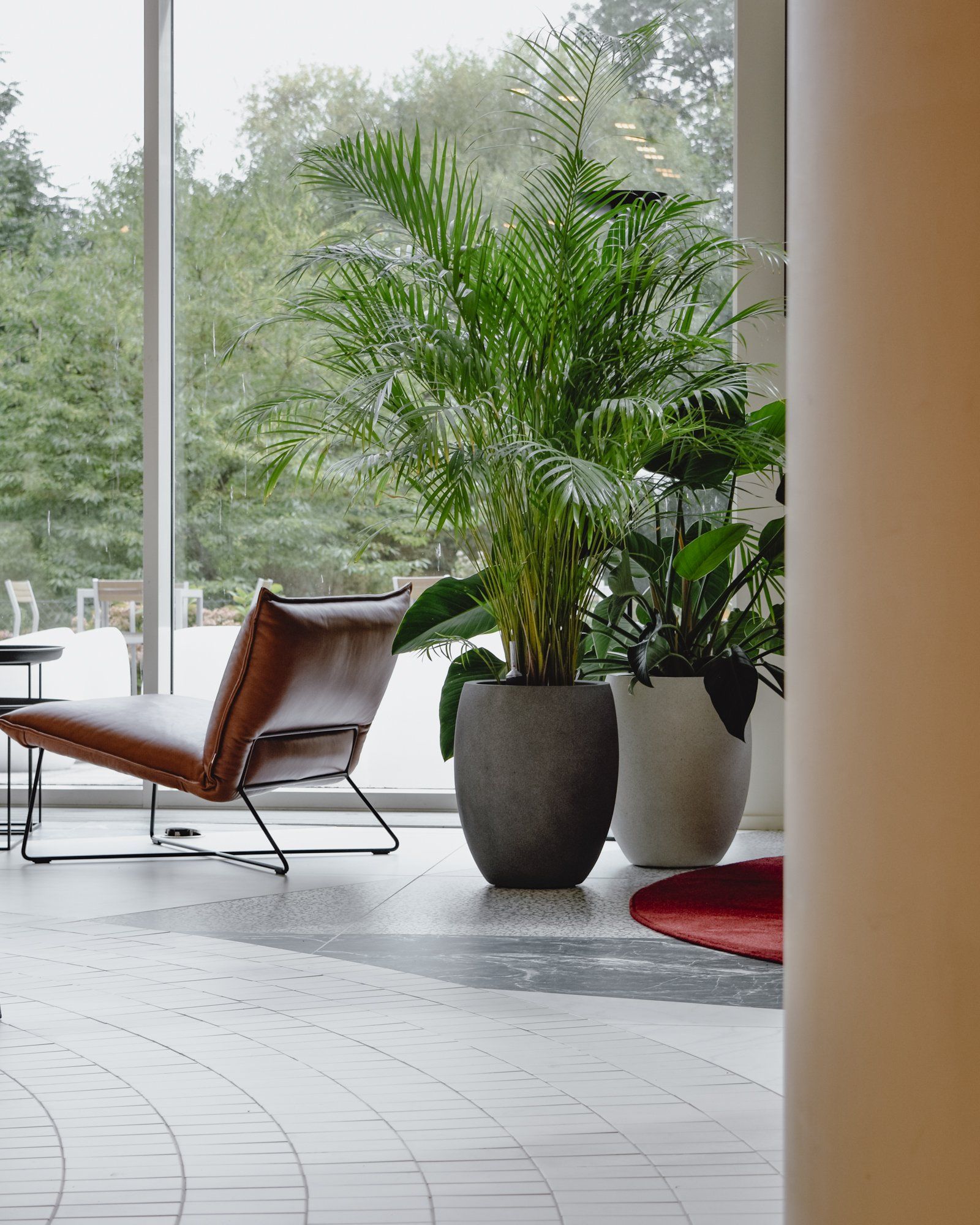 Modern living room with a brown lounge chair, potted palm, and floor-to-ceiling windows.