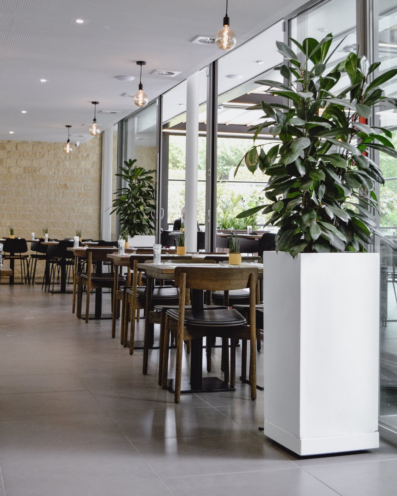 Modern restaurant interior with tables, chairs, pendant lights, and tall potted plants by large windows