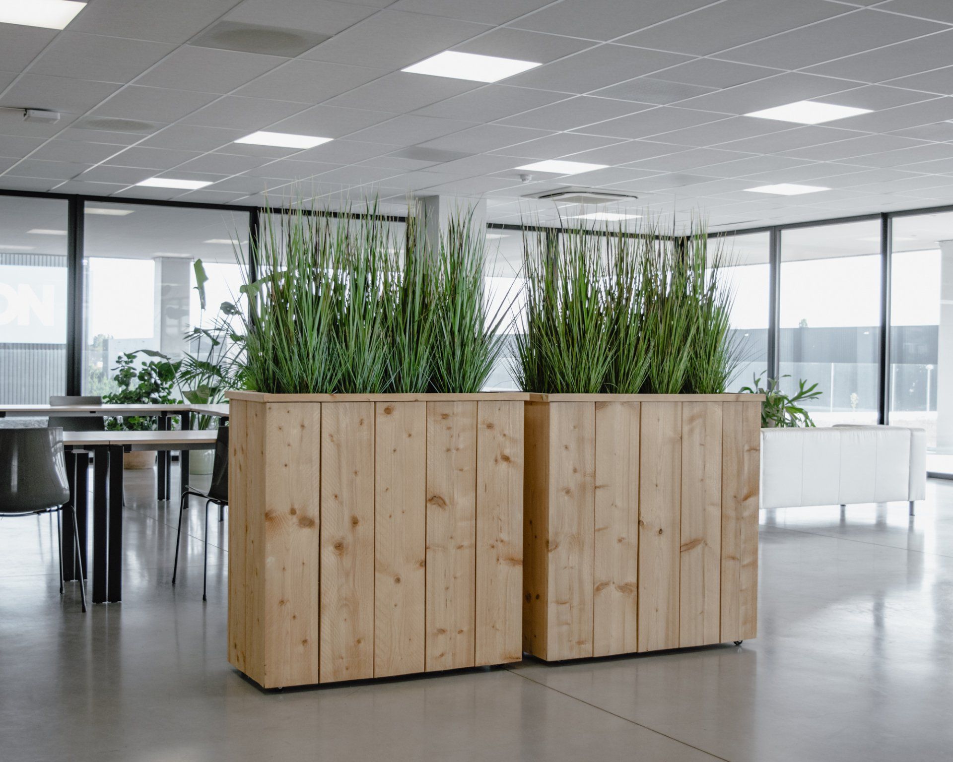 Jardinière en bois avec de grandes plantes vertes dans un espace de bureau moderne et lumineux