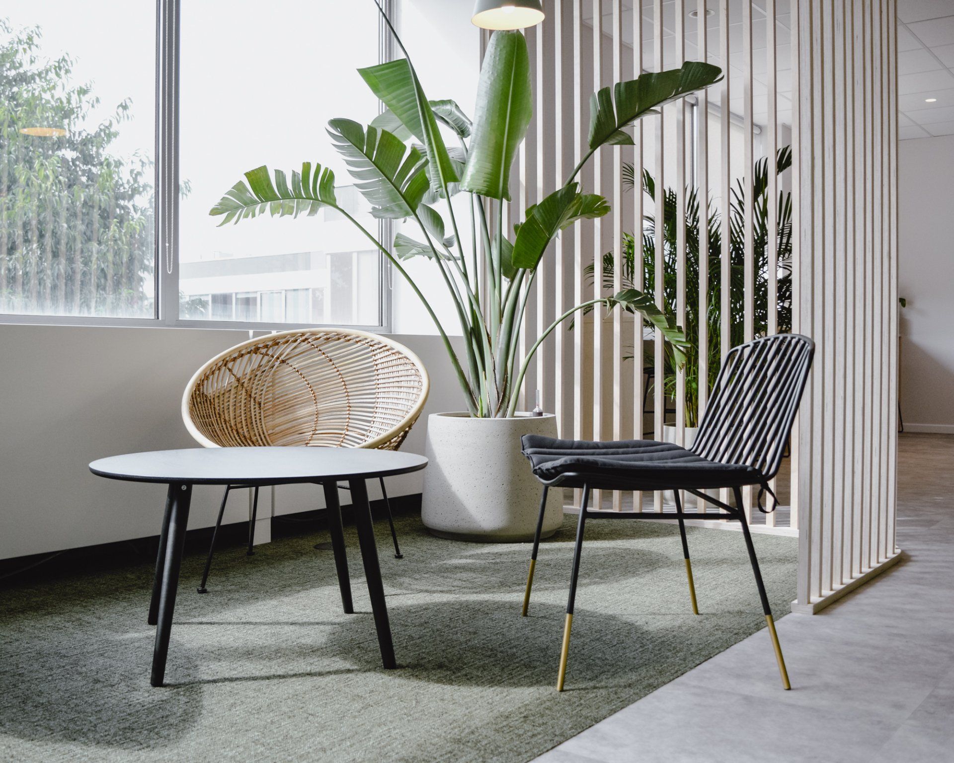 Modern lounge with two chairs, small table, large potted plant, and vertical white slat divider on a rug.