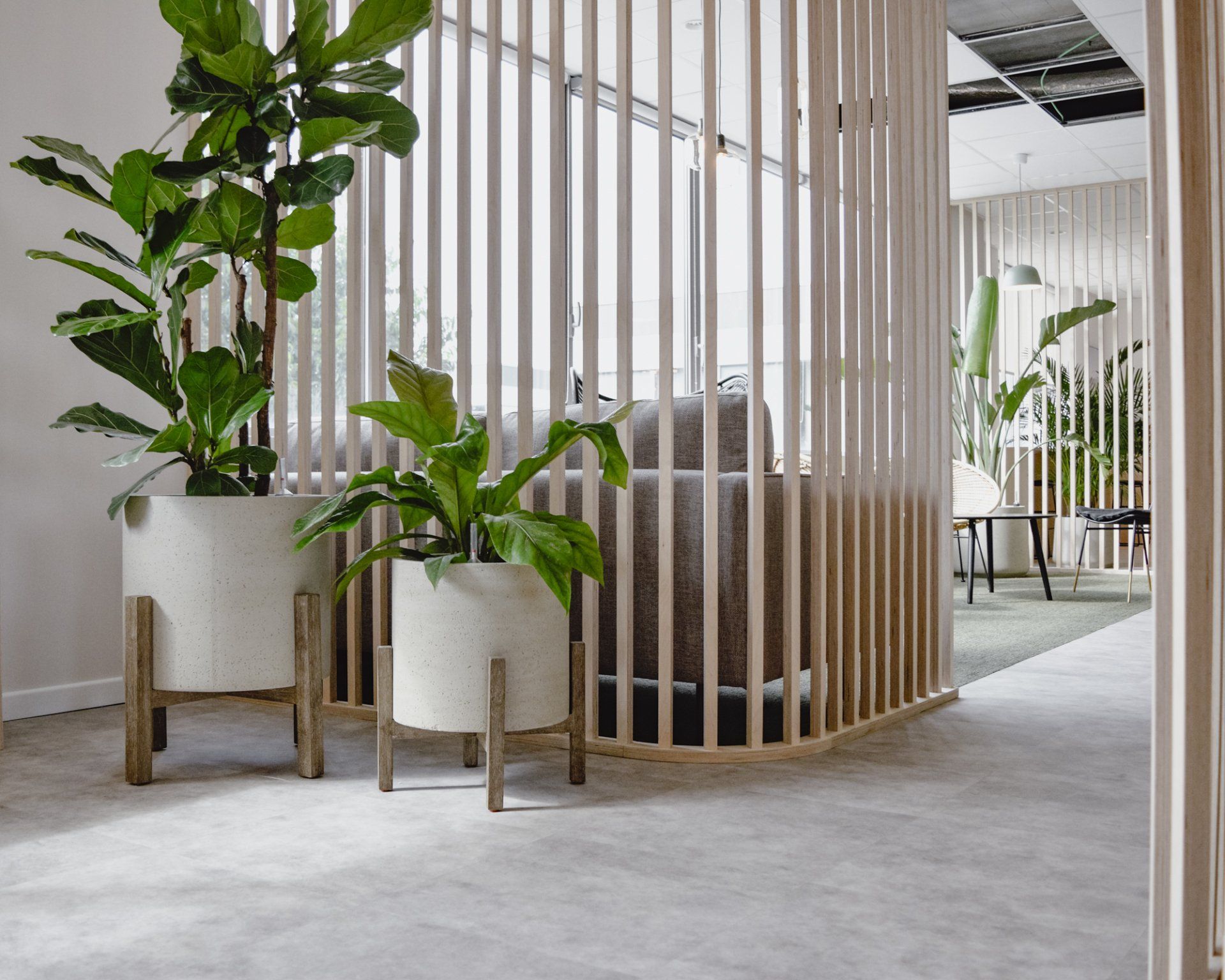 Modern office lounge with potted green plants, wood slat partition, and gray carpet.