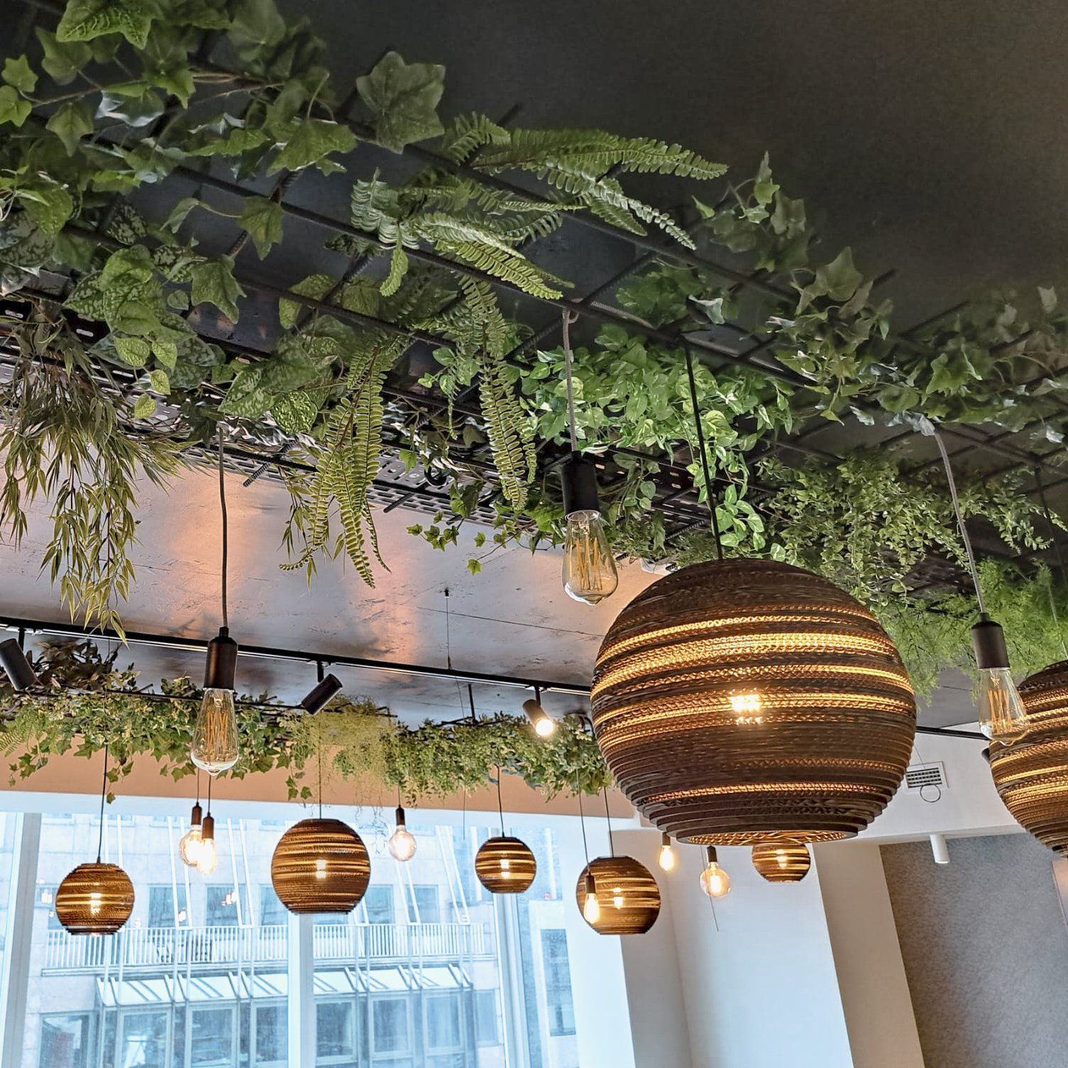 Plafond intérieur d'un café avec végétation suspendue, luminaires suspendus en osier et grandes fenêtres en dessous