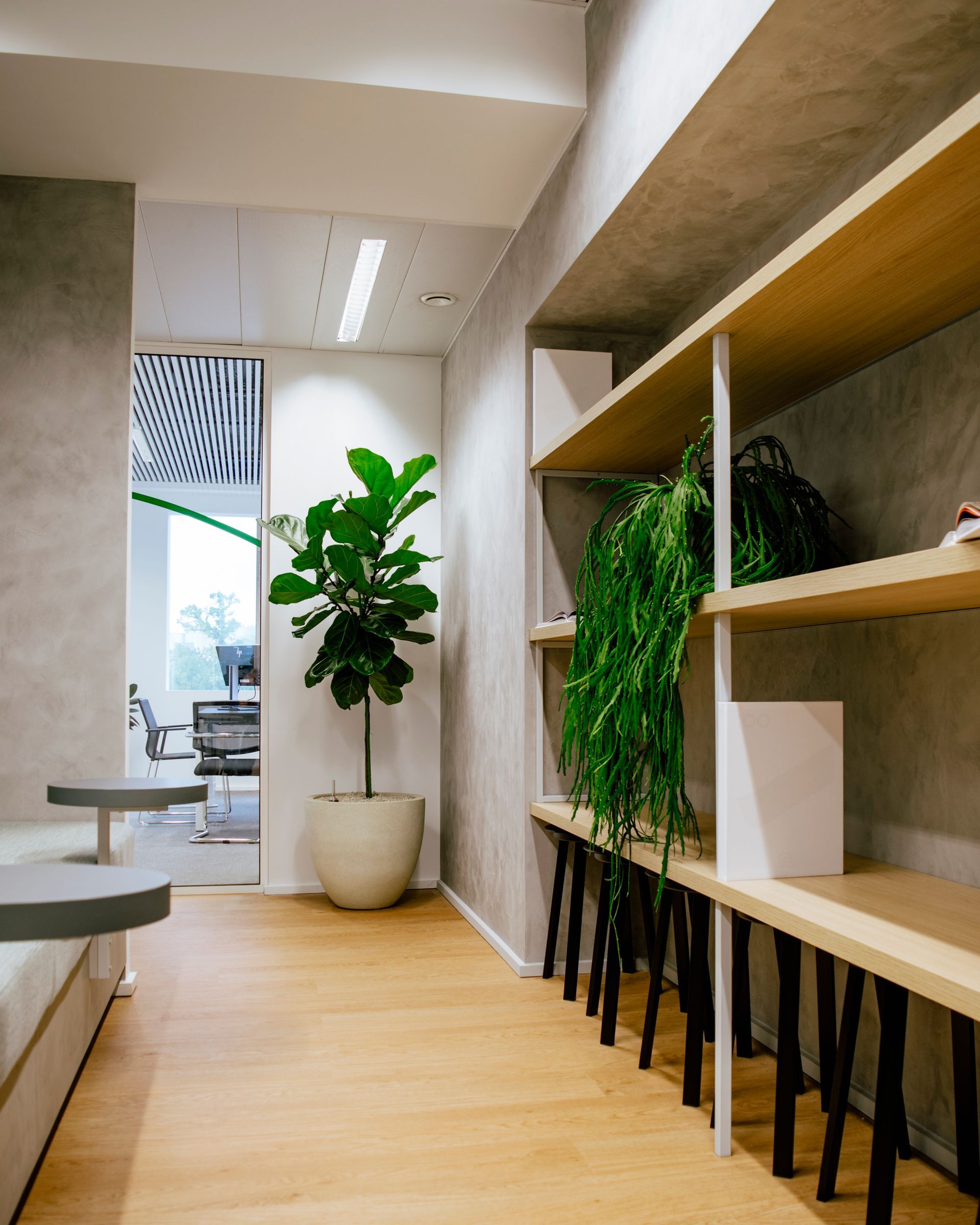 Modern office corridor with wood shelves, potted plants, and light wood flooring, leading to a bright window.