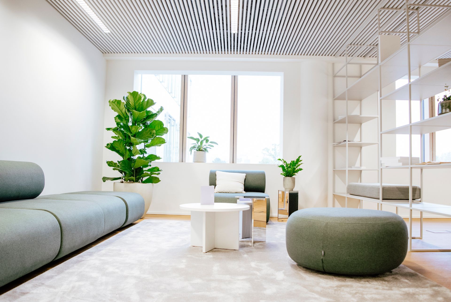 Bright modern living room with gray sofa, white coffee table, plants, and large window.