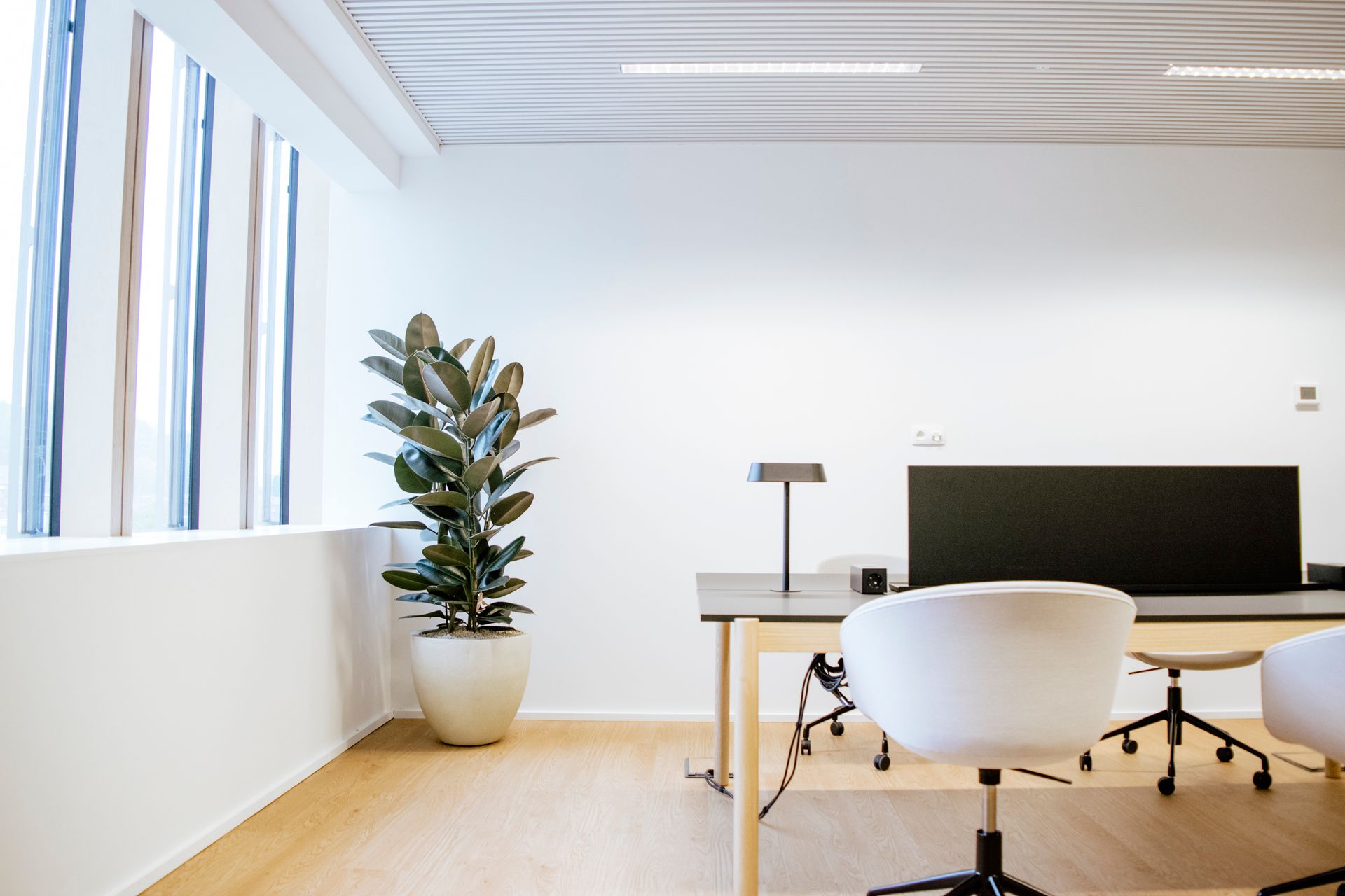 Bureau minimaliste et lumineux avec bureaux blancs, écran noir, chaises et plante en pot près de grandes fenêtres