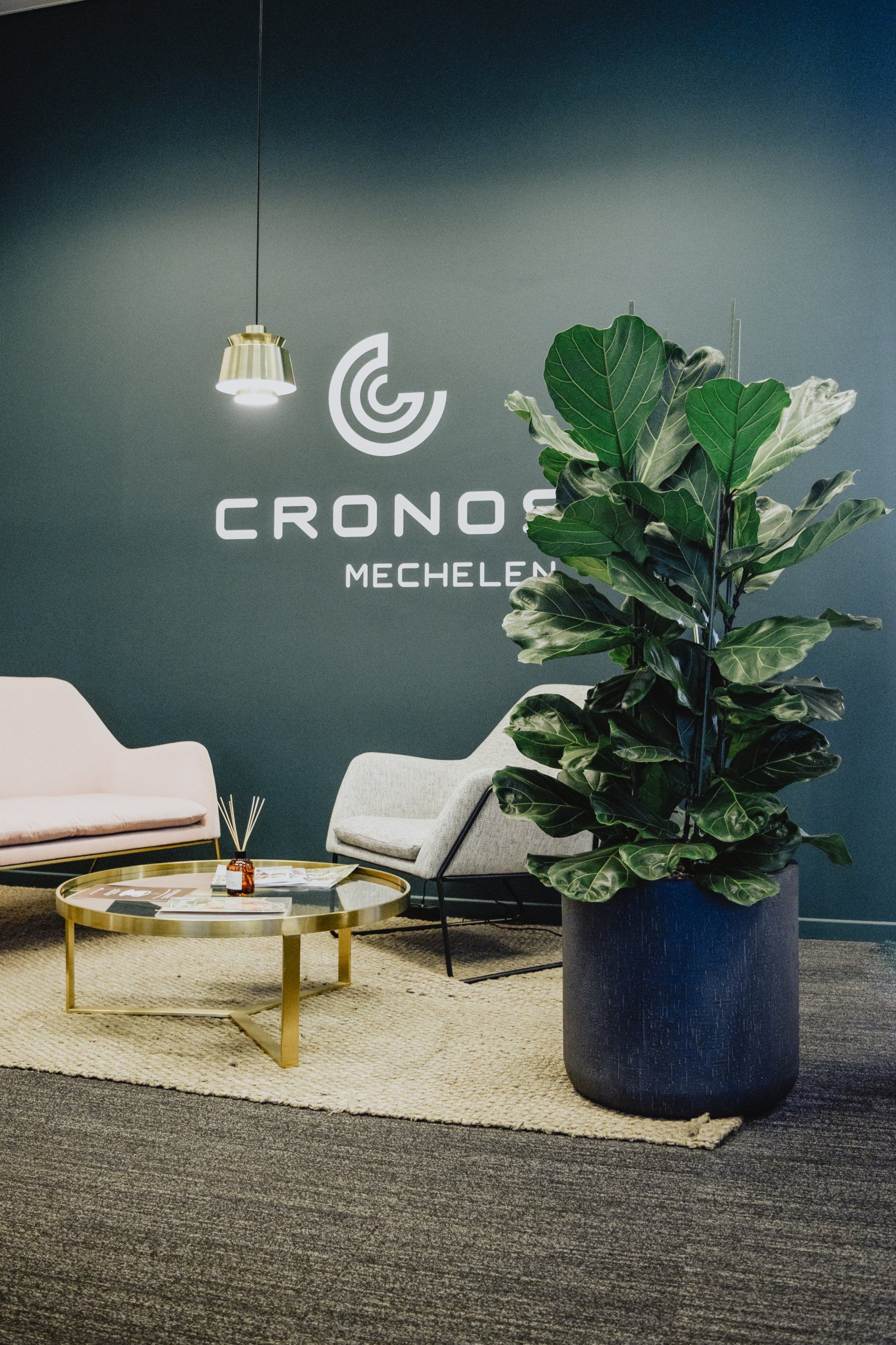 Office lobby with modern chairs, coffee table, large potted plant, and CRONO Mechelen logo on dark wall