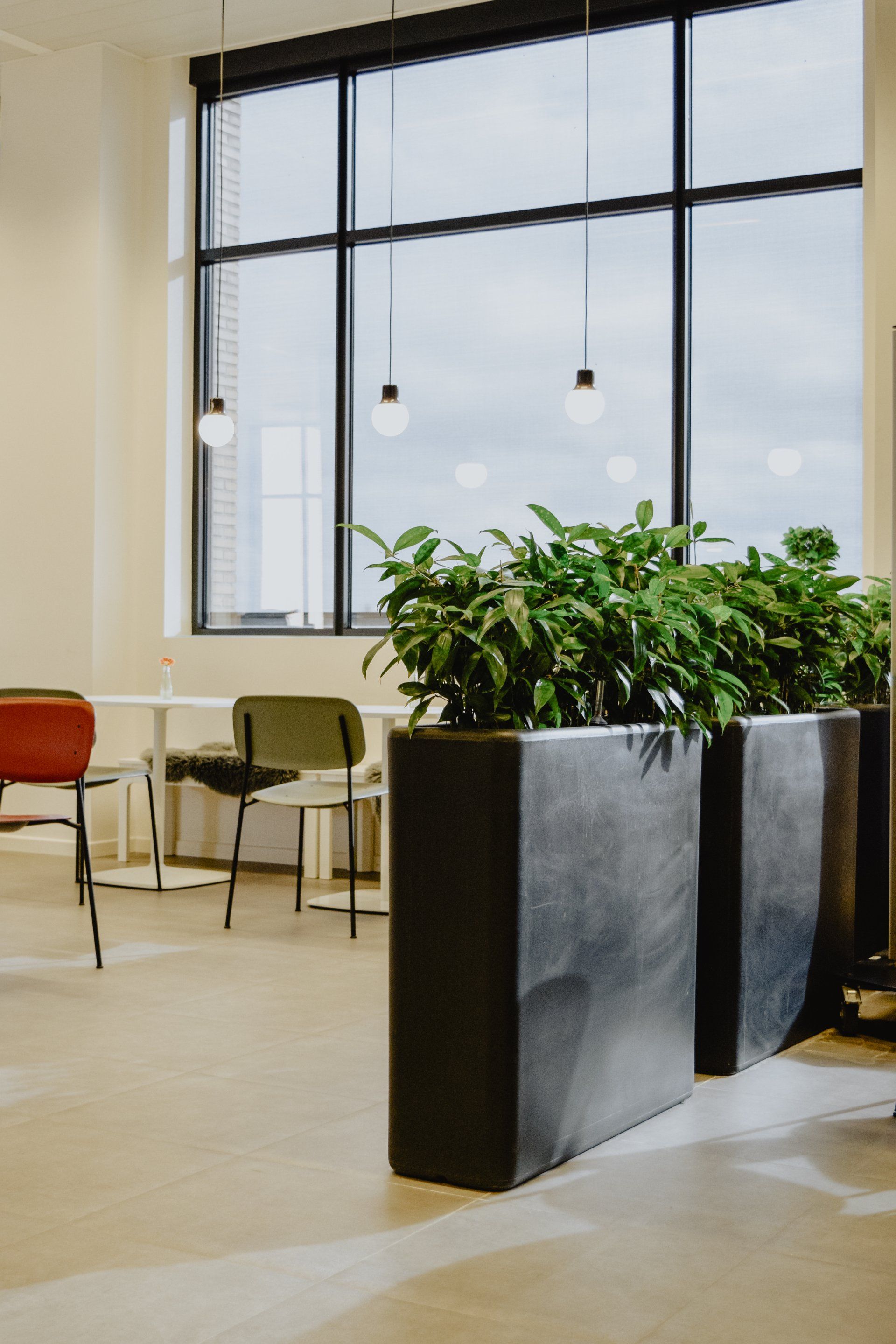 Modern office lounge with large windows, hanging lights, chairs, and tall black planters filled with greenery