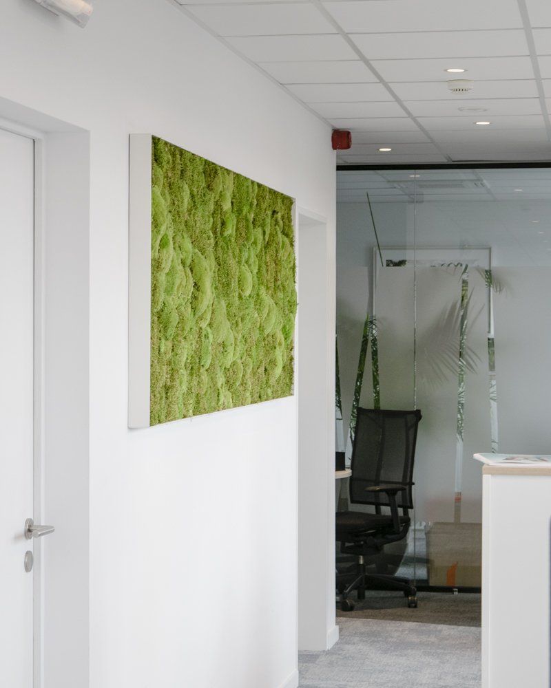 Couloir de bureau aux murs blancs, panneau mural orné de mousse verte et salle de conférence vitrée en arrière-plan