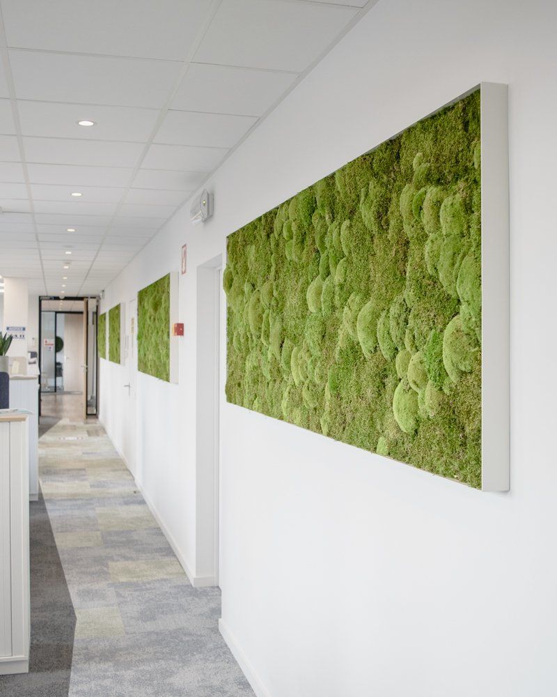 Bright office hallway with white walls and green moss wall art panels