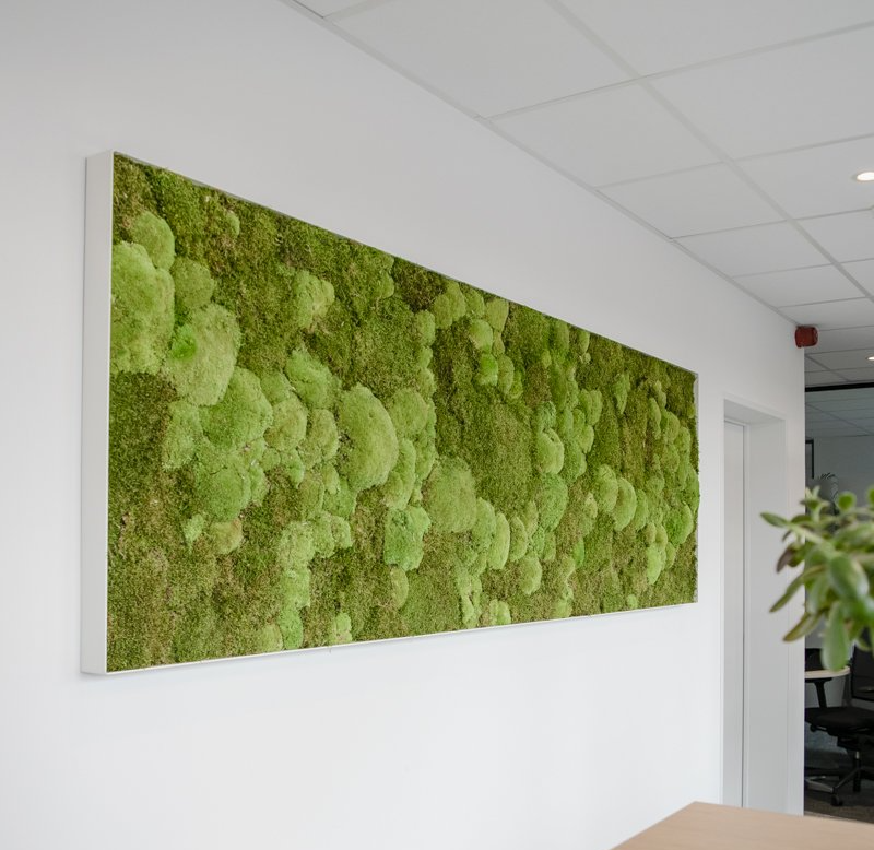 Longue fresque murale rectangulaire en mousse sur un mur blanc d'un bureau dans un couloir lumineux