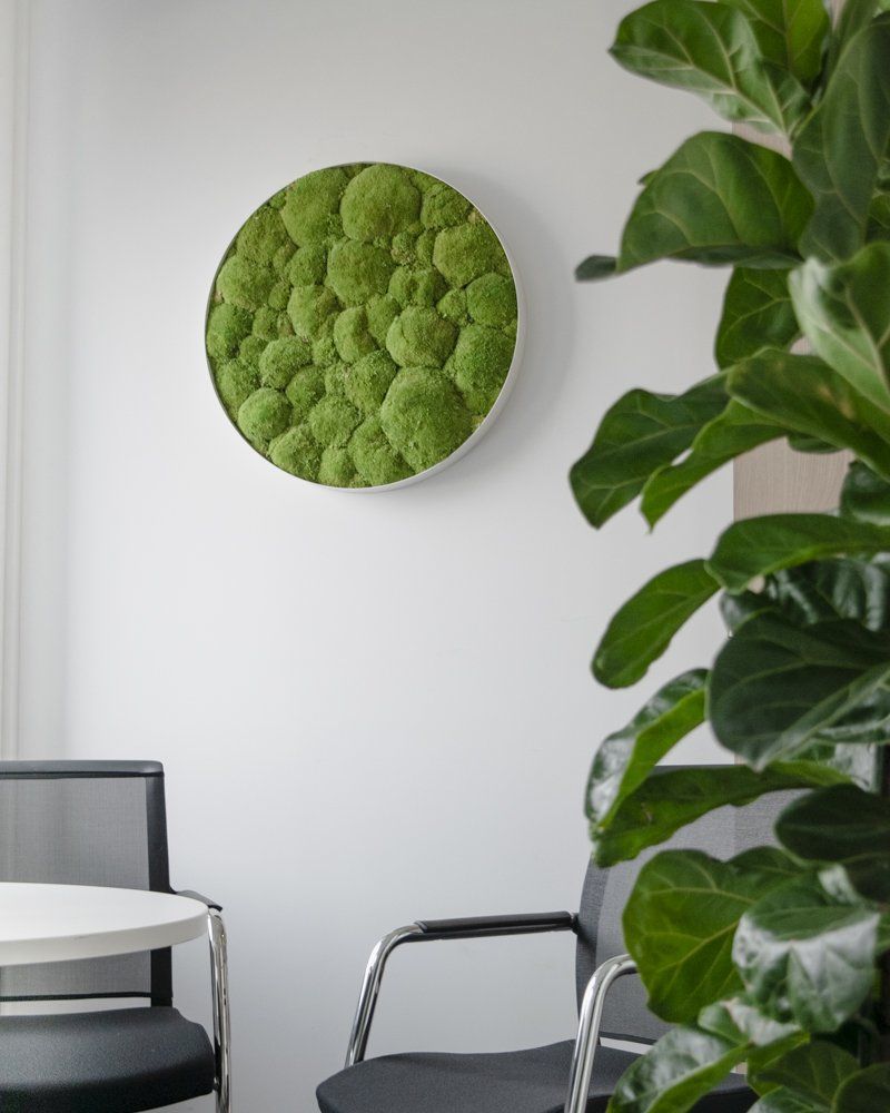 Coin bureau avec une œuvre d'art murale texturée verte, des chaises noires, une table blanche et une plante à feuillage.