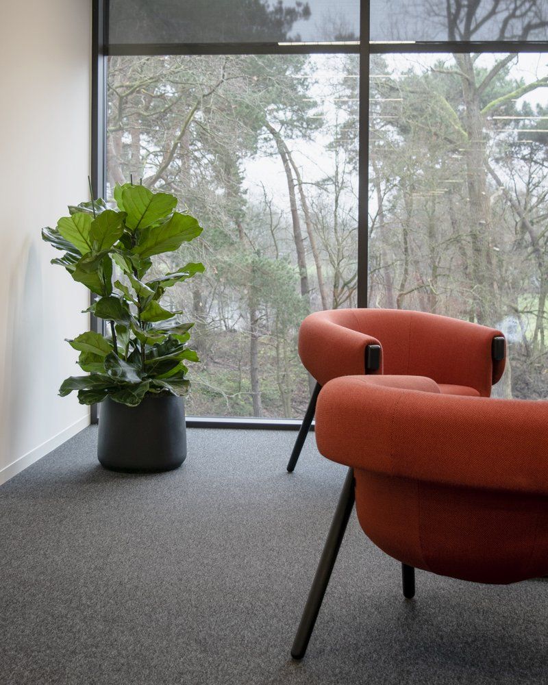 Modern lounge with an orange chair, potted plant, and large window overlooking trees