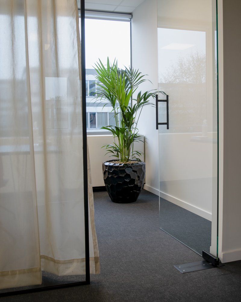 Office hallway with a potted palm beside a glass door and a window with curtains
