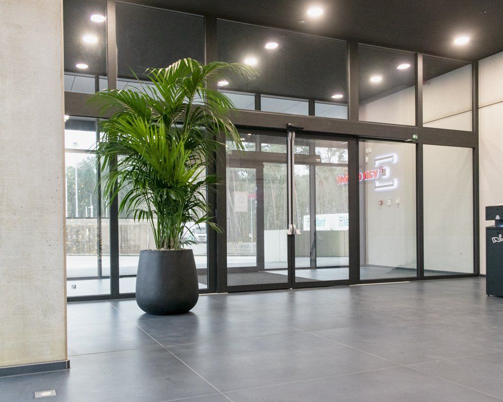 Modern lobby with glass entrance, dark tile floor, and a large potted palm plant