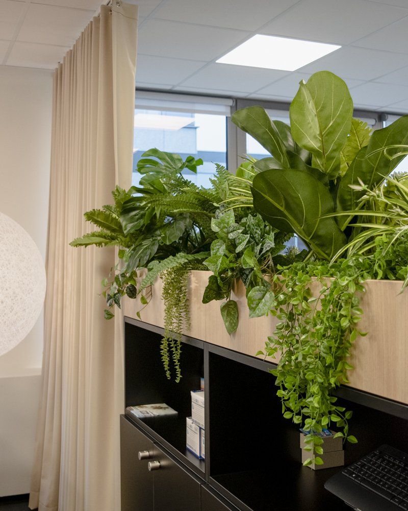 Bureau individuel agrémenté de plantes vertes luxuriantes près d'une fenêtre et d'un rideau beige