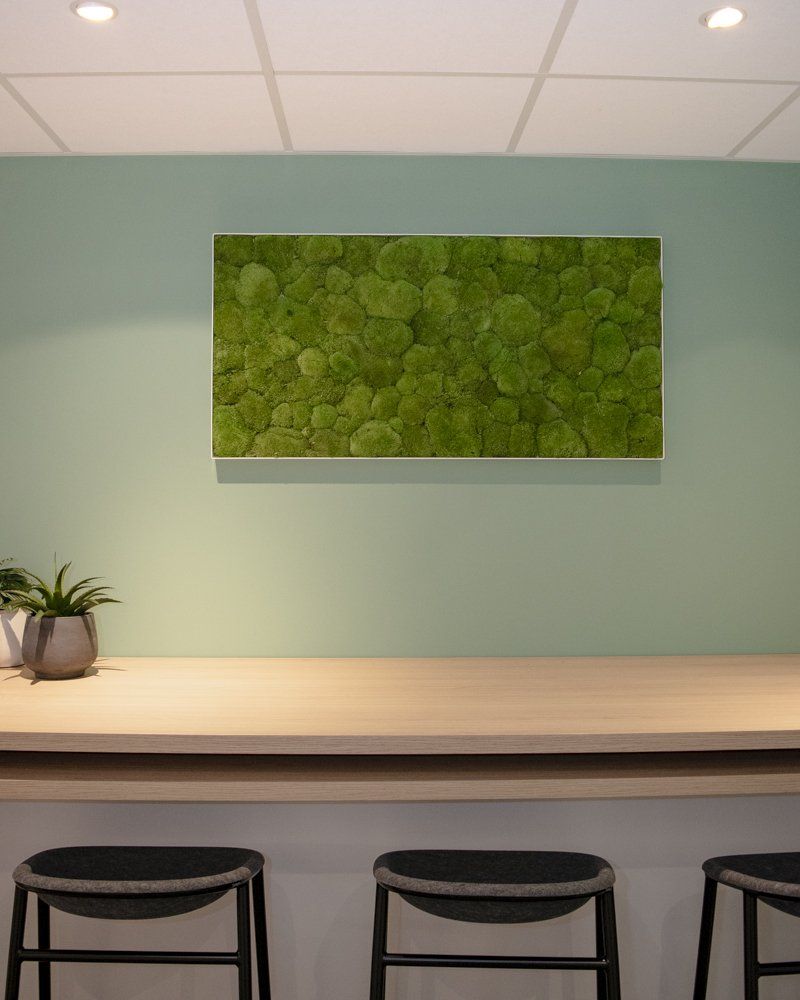 Espace détente moderne dans un bureau, avec un mur décoré de mousse, un comptoir en bois, des tabourets et une petite plante.