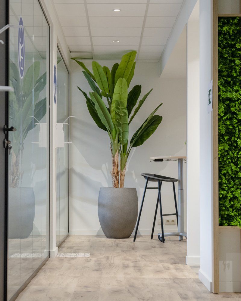 Couloir avec une grande plante en pot, des portes de bureau vitrées et un tabouret à côté d'une petite table