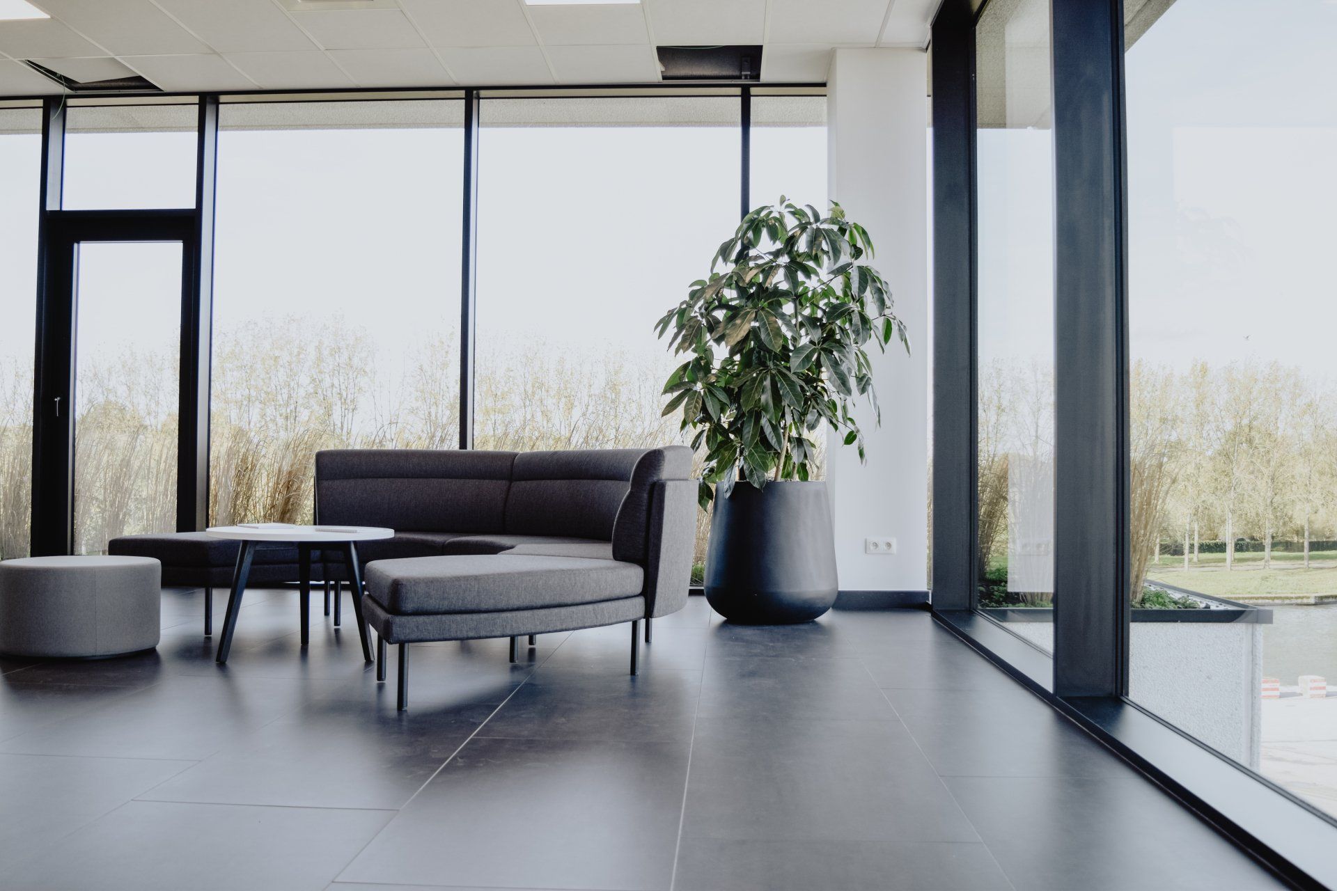 Modern living room with dark sofa, armchair, coffee table, large windows, and a potted tree