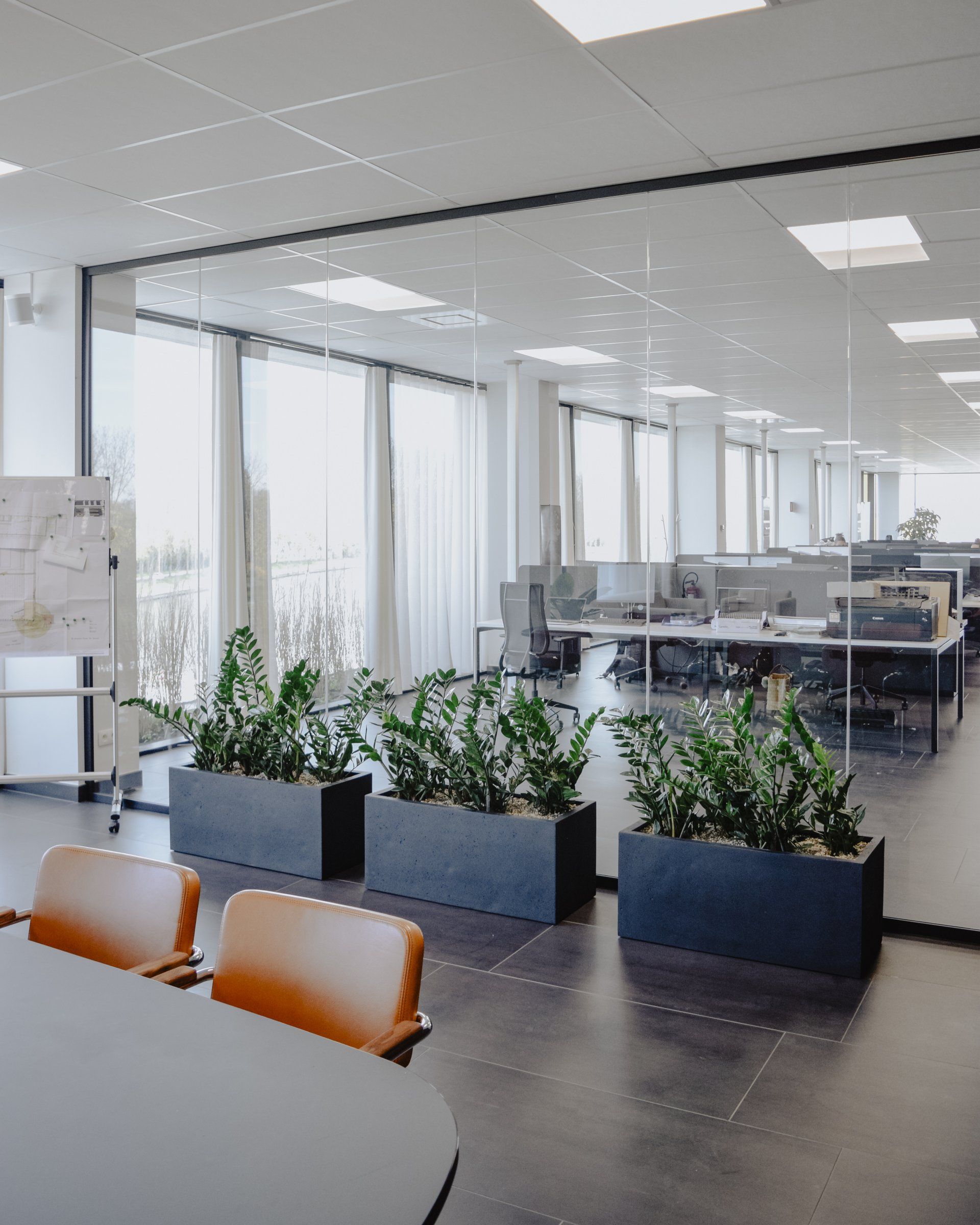 Modern office with glass walls, desks, chairs, and potted plants in a bright meeting area