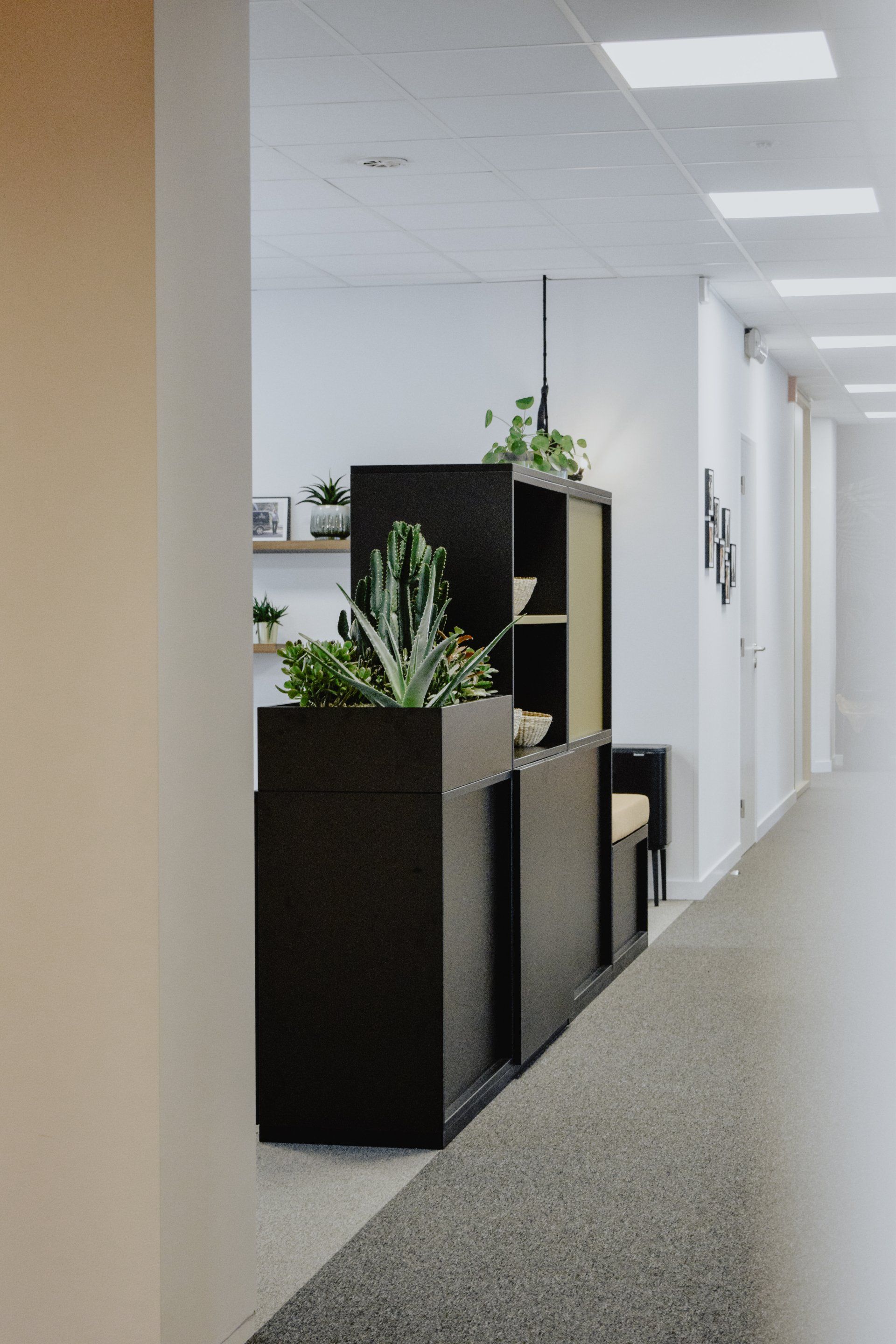 Modern office hallway with black shelving and potted plants along a white corridor