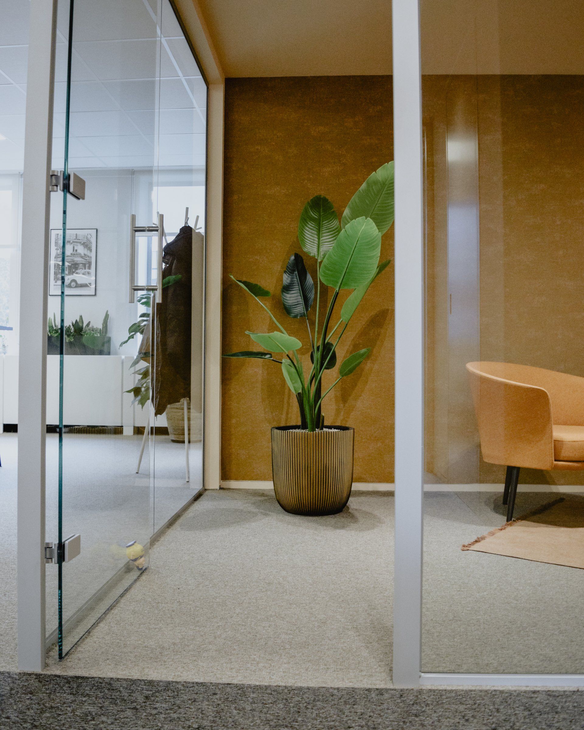 Hall d'entrée moderne avec parois vitrées, une plante en pot et une chaise beige sur la droite.