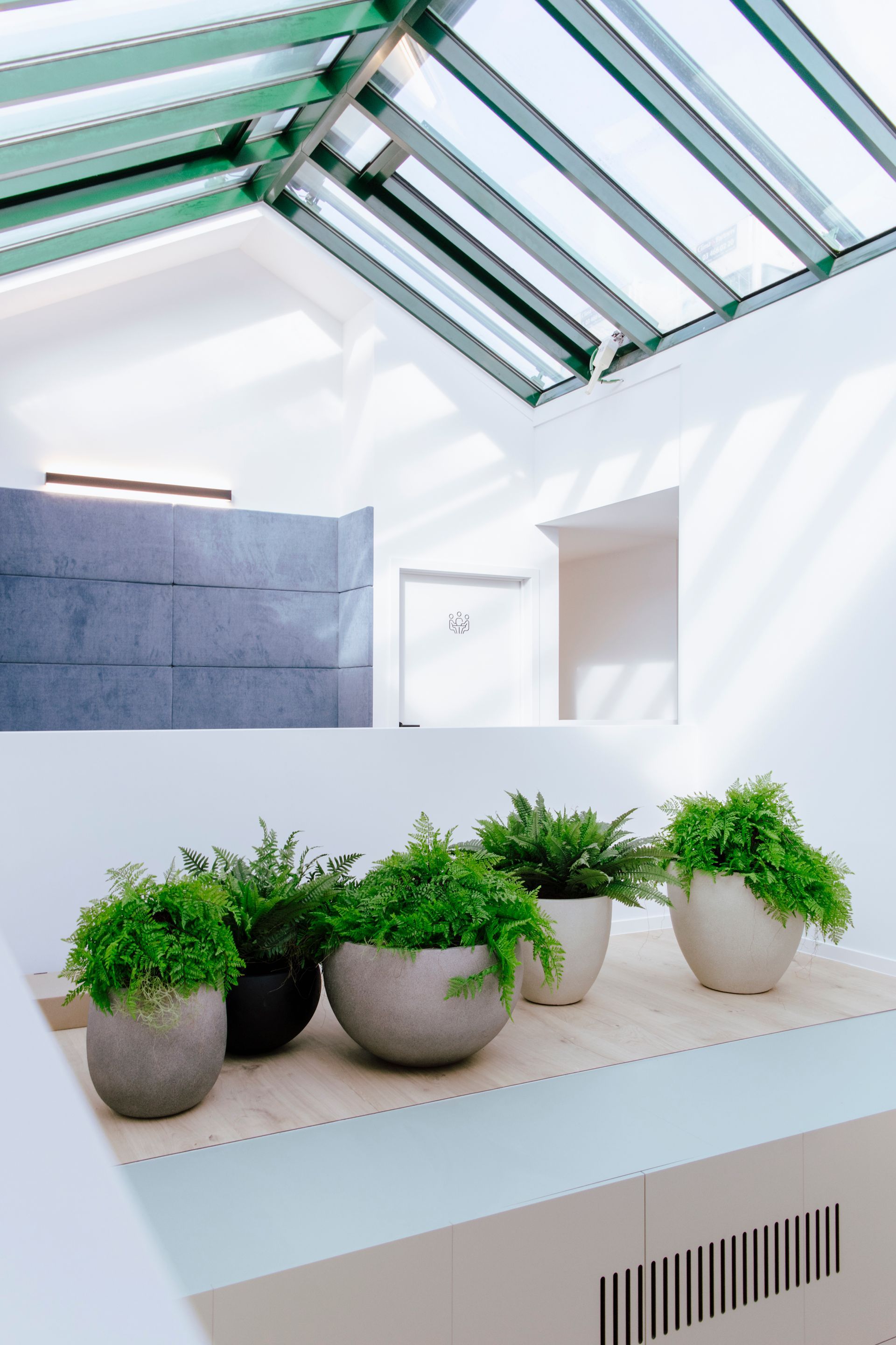 Patio intérieur moderne avec plantes vertes en pot sous une verrière et des murs d'un blanc éclatant