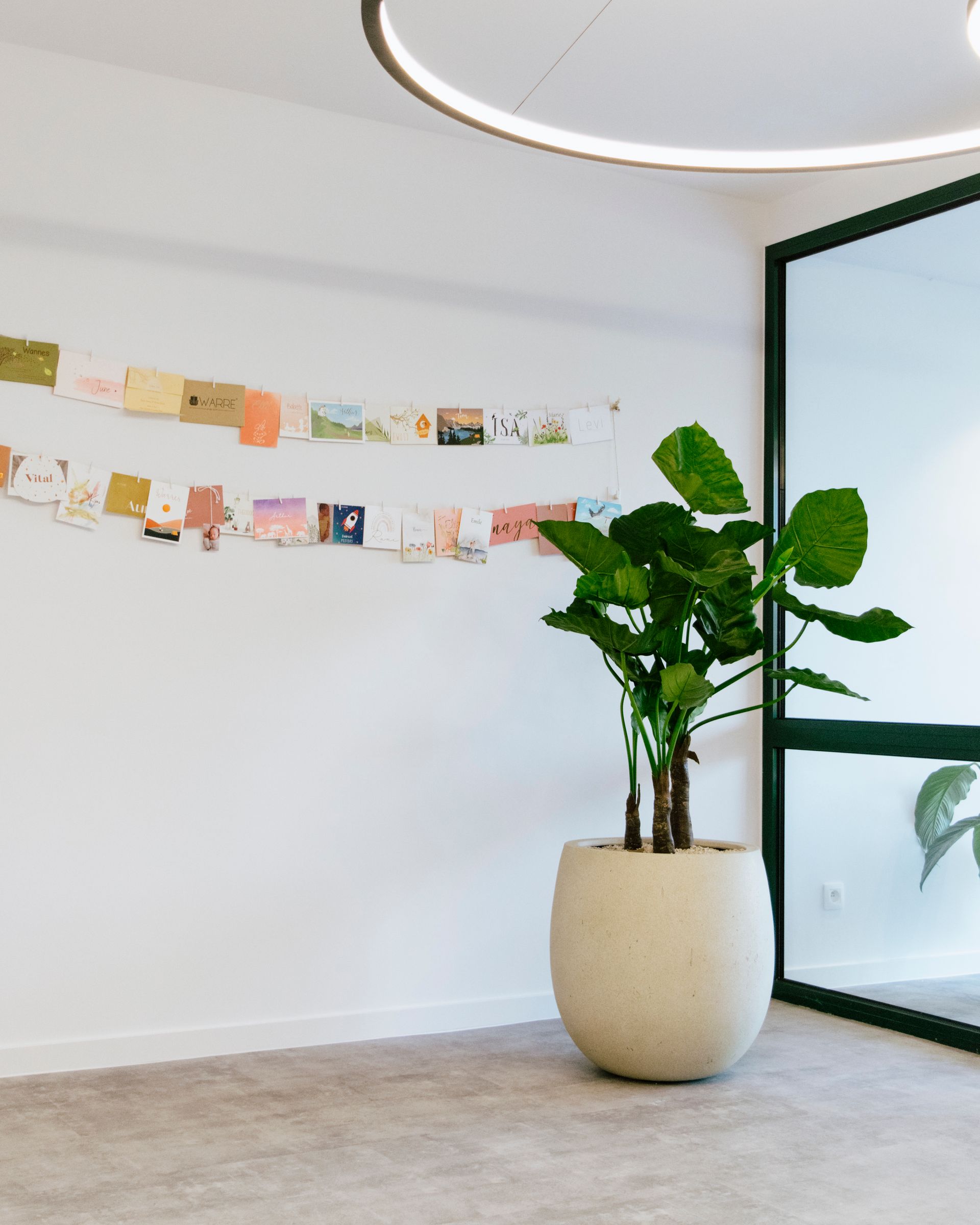 Chambre lumineuse et minimaliste avec une plante en pot, des photos au mur et une porte vitrée