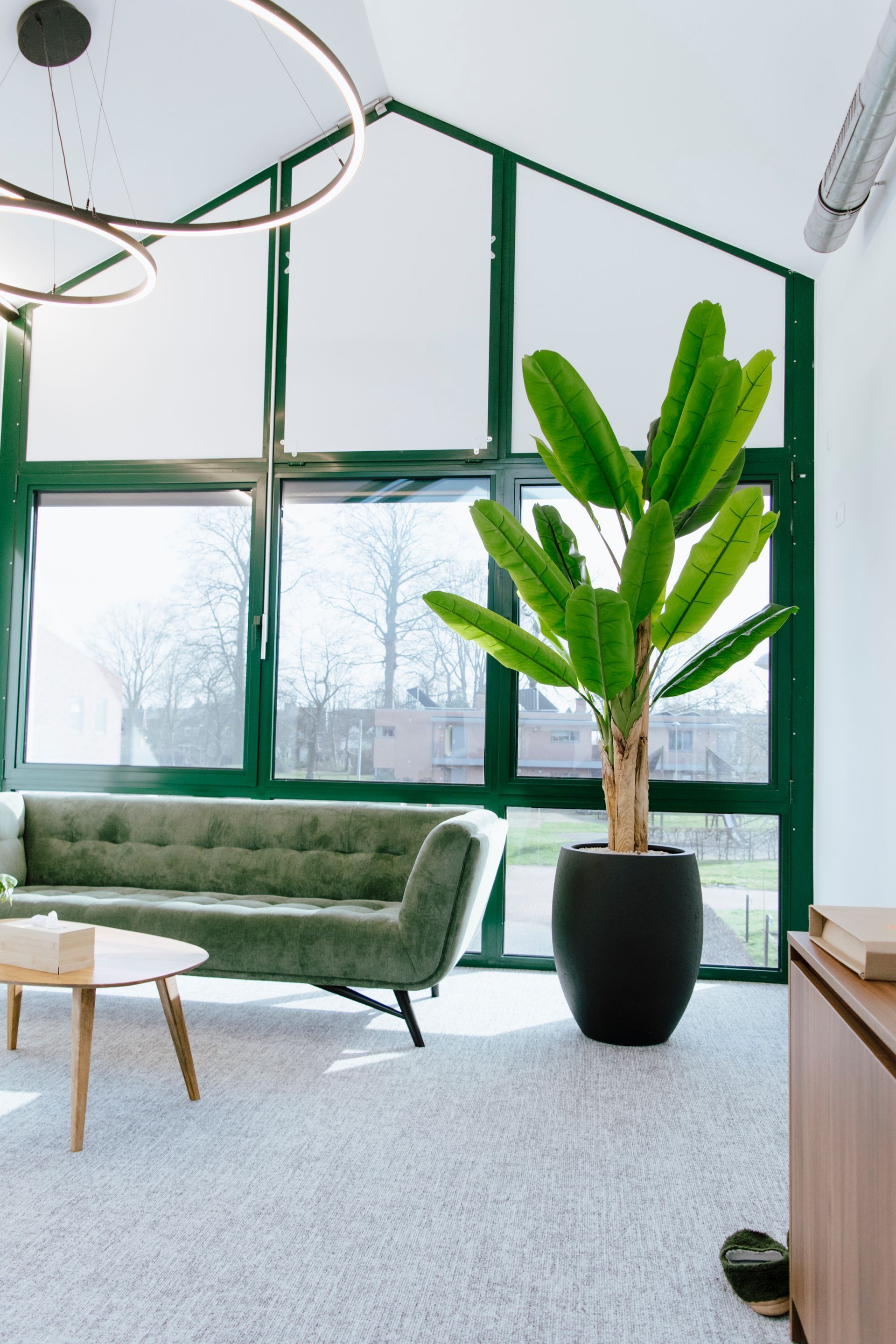 Salon moderne avec de grandes fenêtres, un canapé vert, un pot de fleurs noir et un grand bananier.
