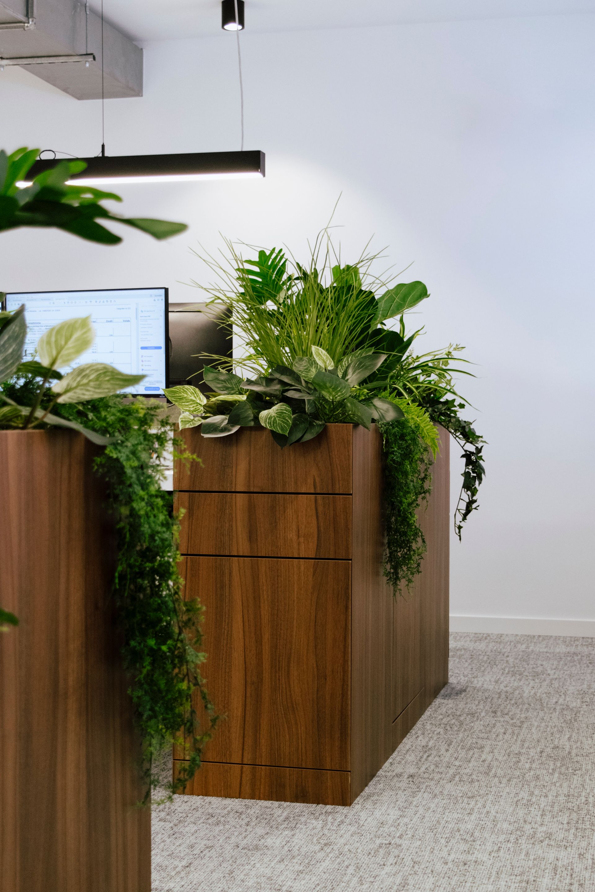 Bureau avec bureaux en bois et plantes vertes luxuriantes dans un espace de travail lumineux et moderne