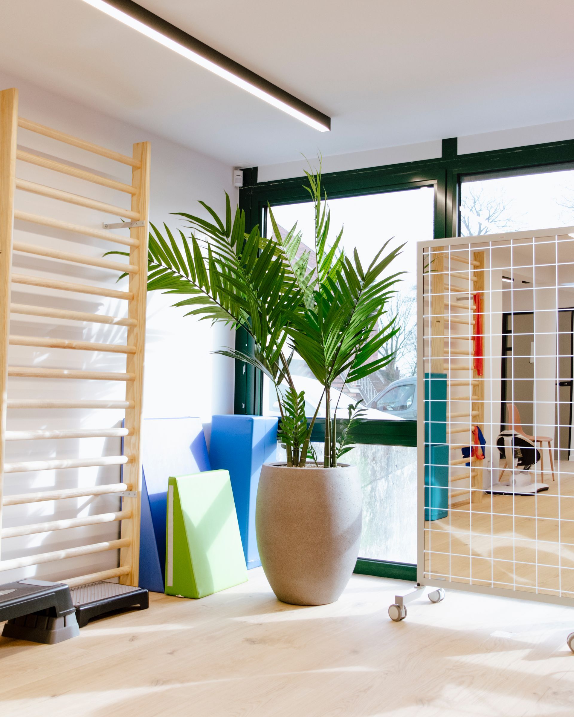 Pièce moderne et lumineuse avec un grand palmier en pot, des barres murales en bois et une cloison en verre.