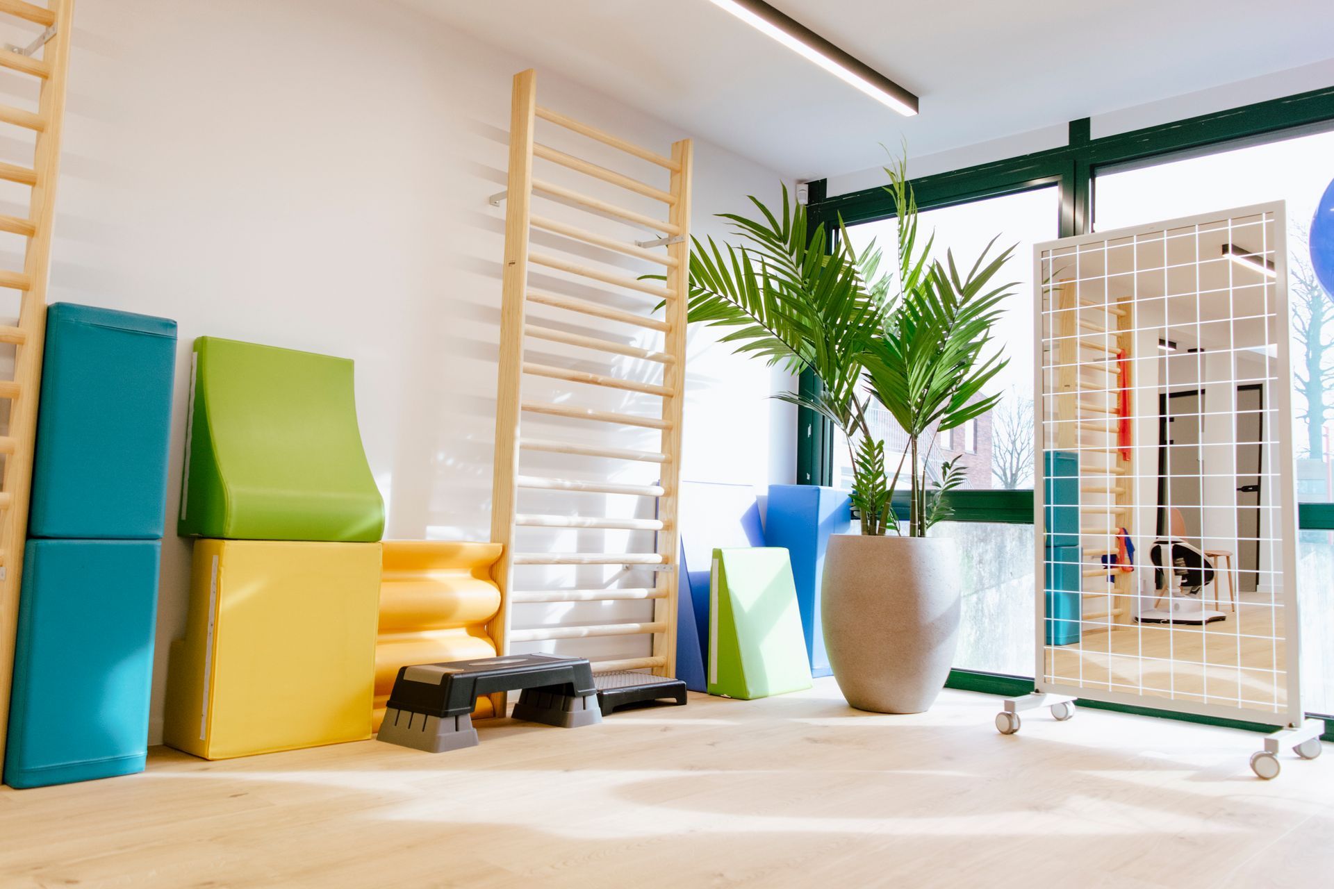 Bright exercise studio with colorful wall bars, mats, plant, and wooden floor