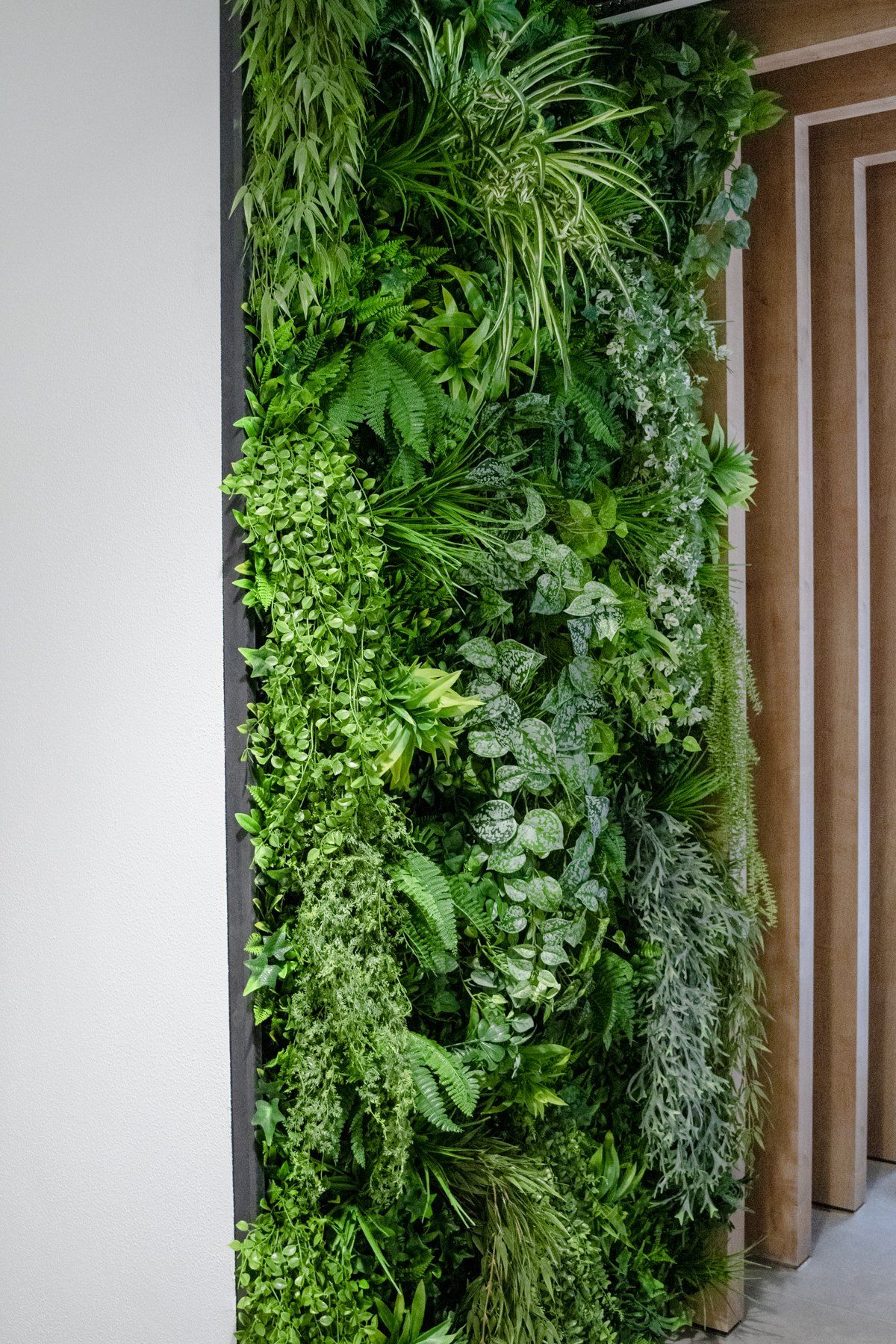 Mur végétal vertical luxuriant de plantes vertes à côté d'une porte en bois à l'intérieur