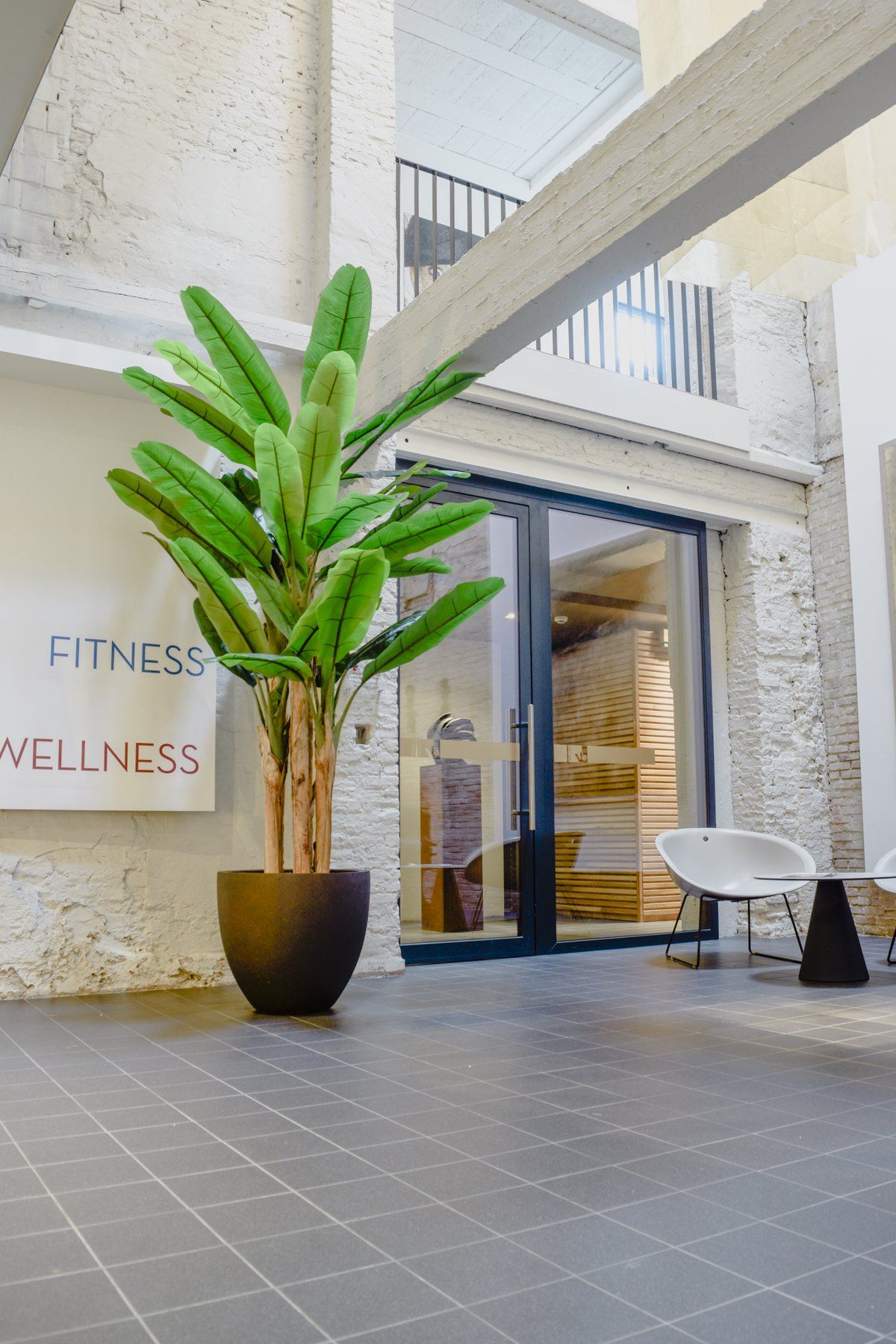 Entrée moderne d'un centre de fitness avec une grande plante en pot et des portes vitrées
