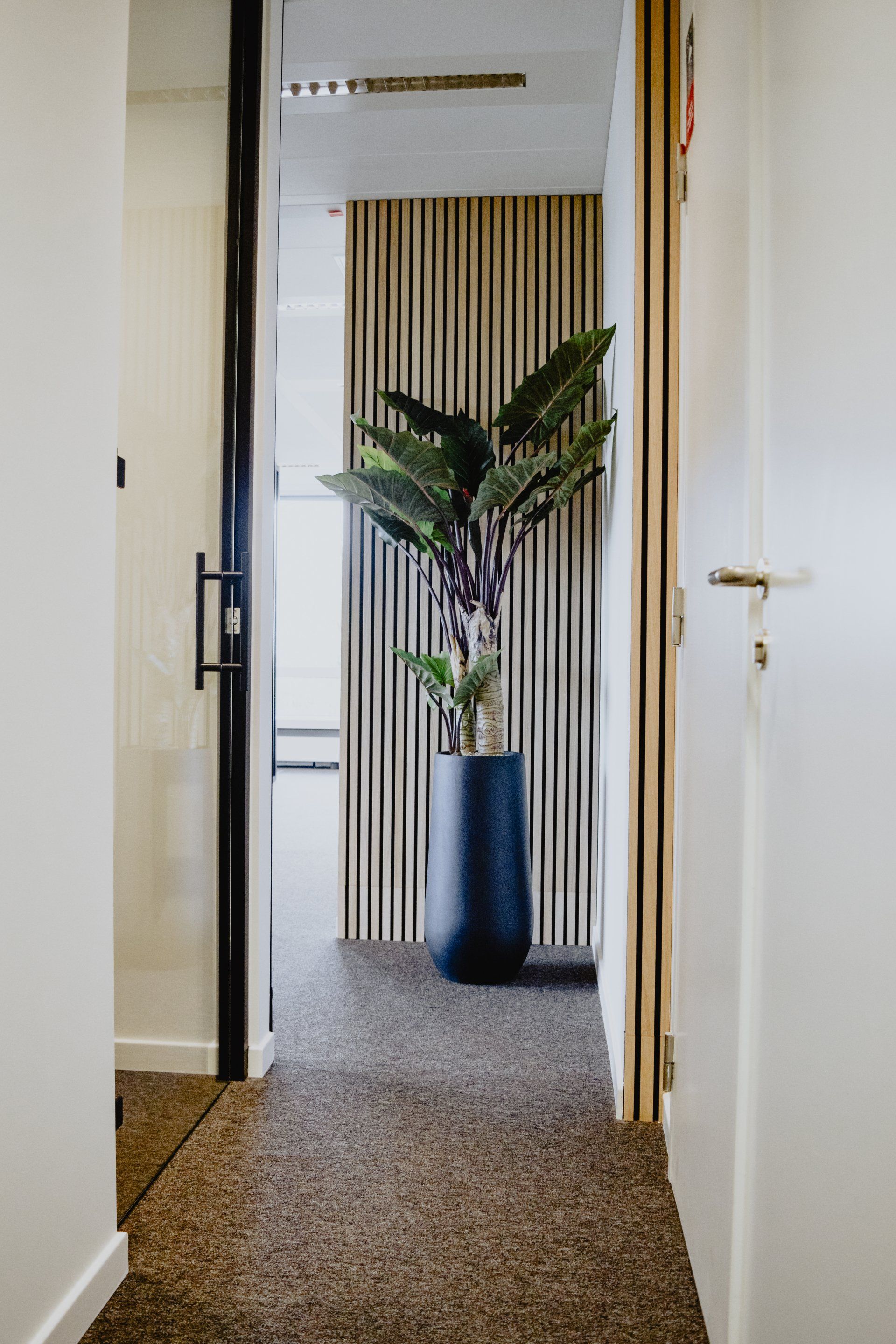 Couloir avec sol moucheté, murs blancs et un grand vase bleu contenant une plante à feuillage près d'un rideau rayé