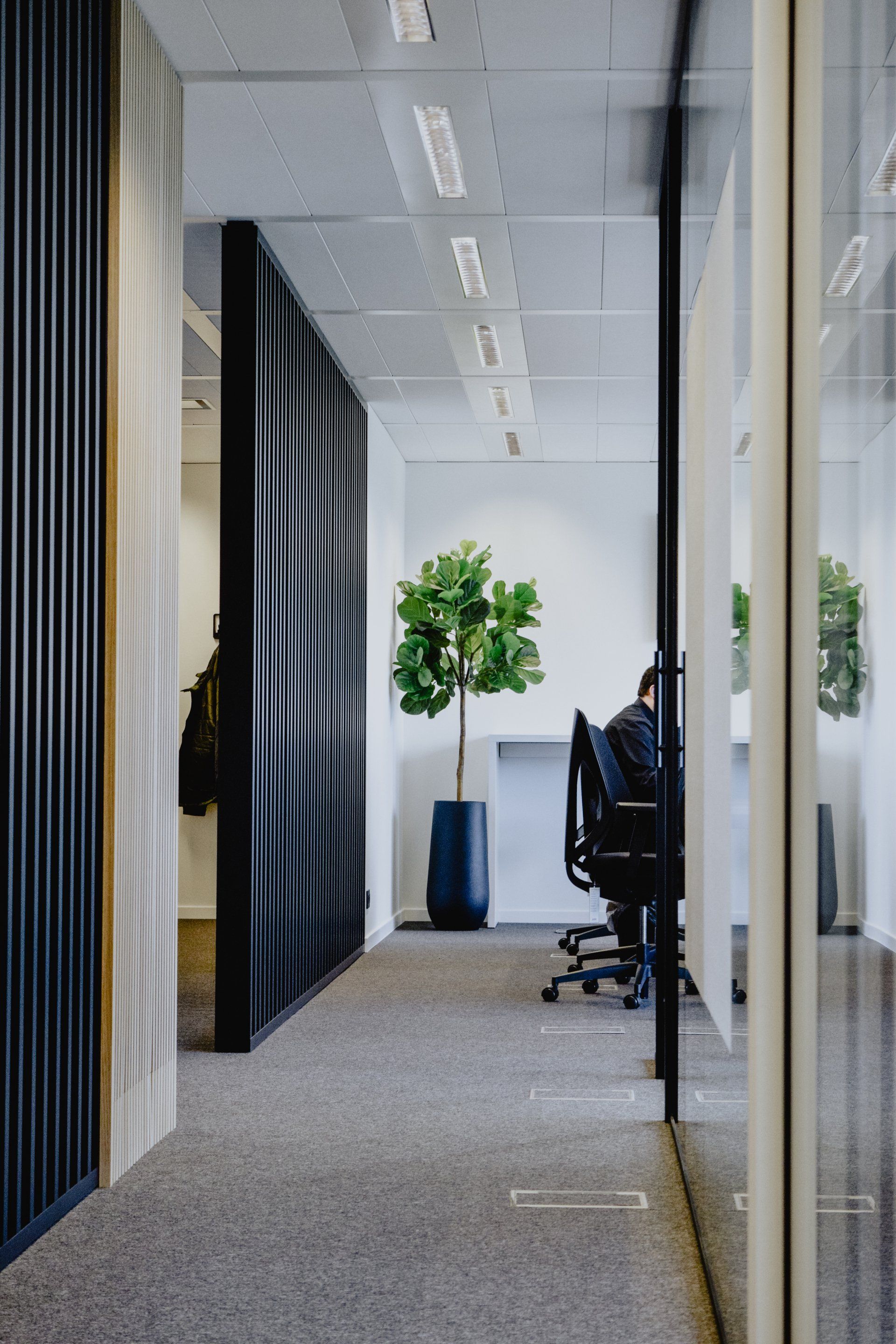 Modern office hallway with glass walls, black chairs, and a potted tree at the end