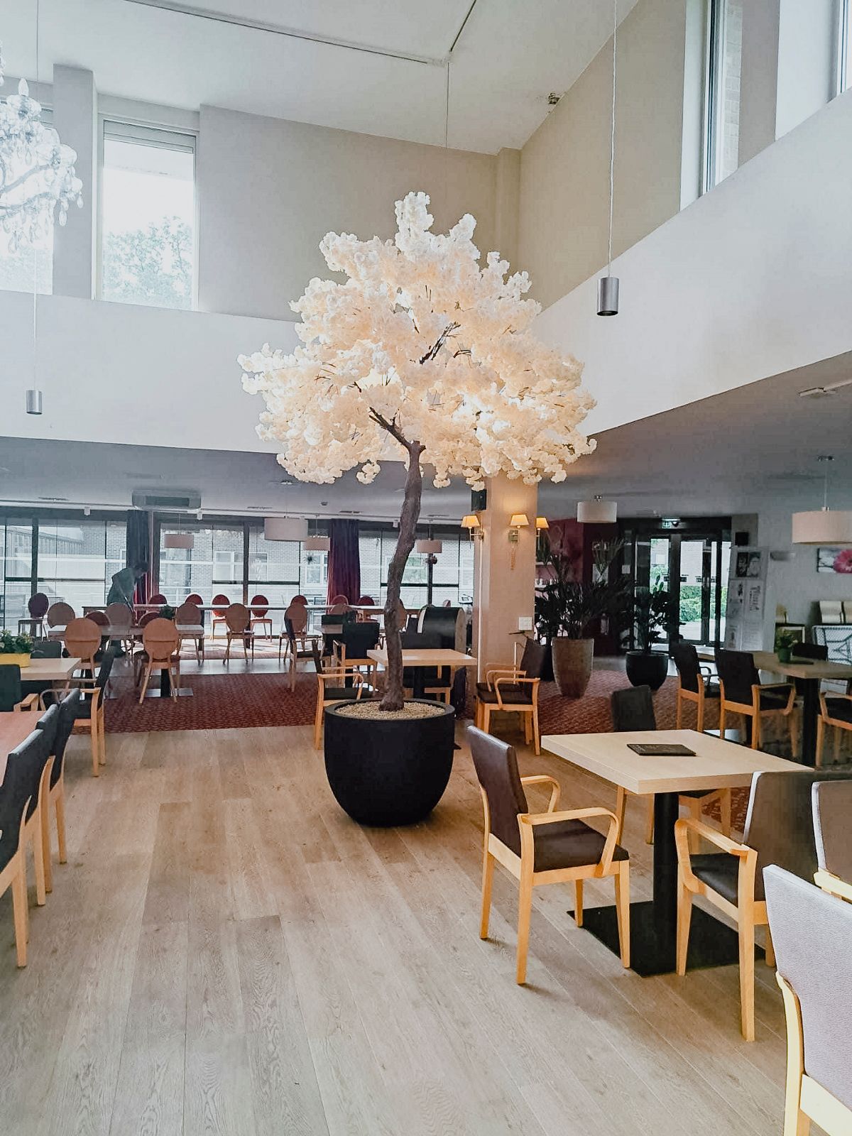Intérieur lumineux d'un café avec tables, chaises et un grand arbre blanc en guise de centre de table sous une mezzanine.