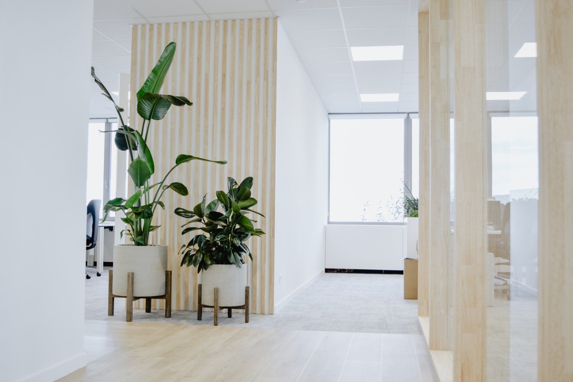 Bright modern office hallway with potted plants, light wood accents, and large windows
