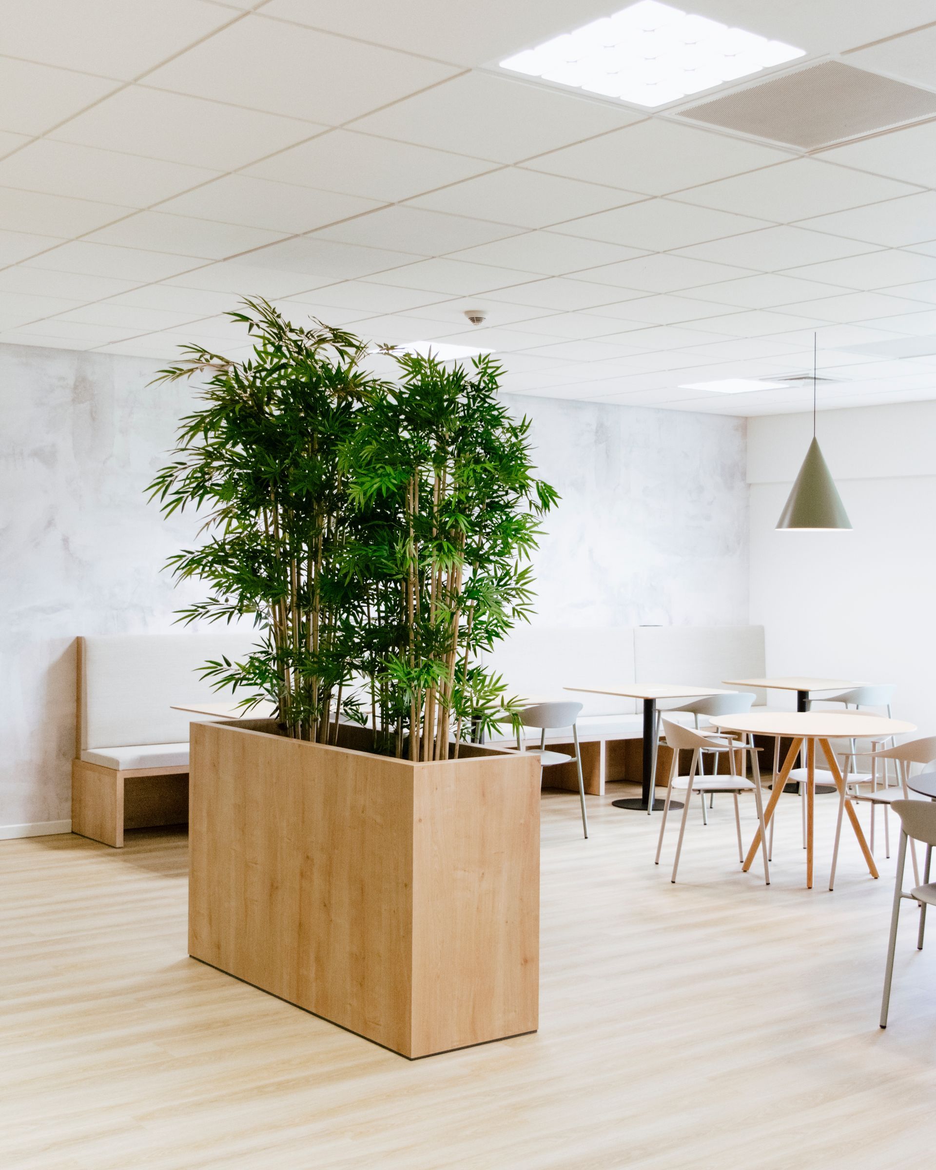 Salon de bureau moderne et lumineux avec un grand arbre en pot dans un bac en bois et des tables et chaises blanches.