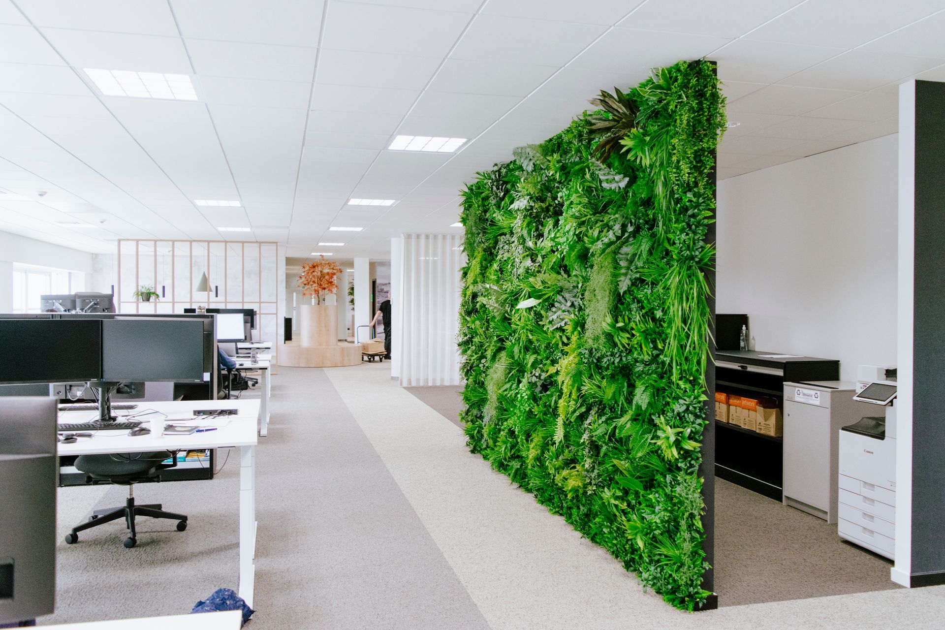 Intérieur de bureau moderne avec bureaux et une grande cloison végétale verte.